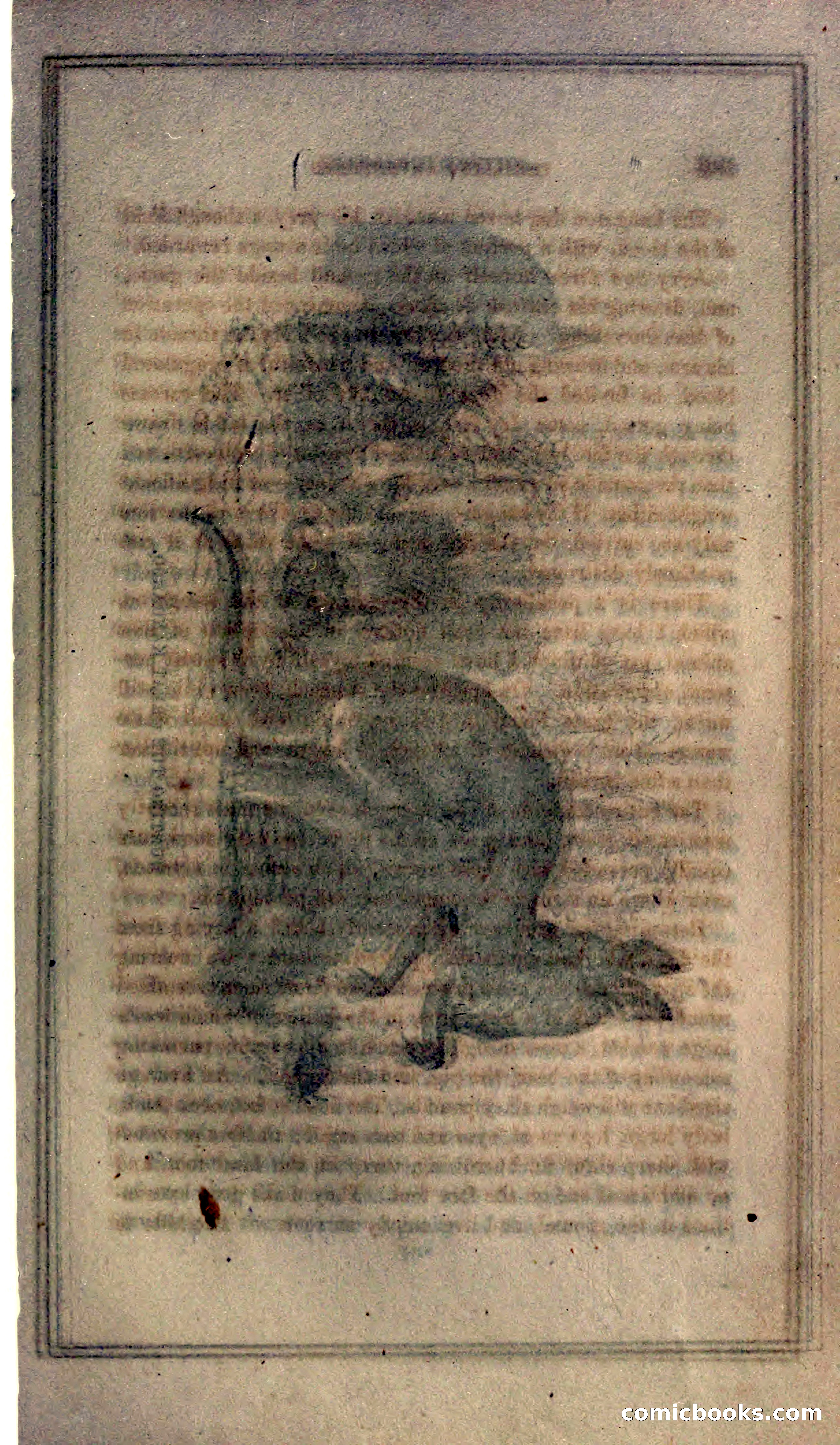 Thrilling Adventures of Hunters, in the Old World and the New — page 195 of 399