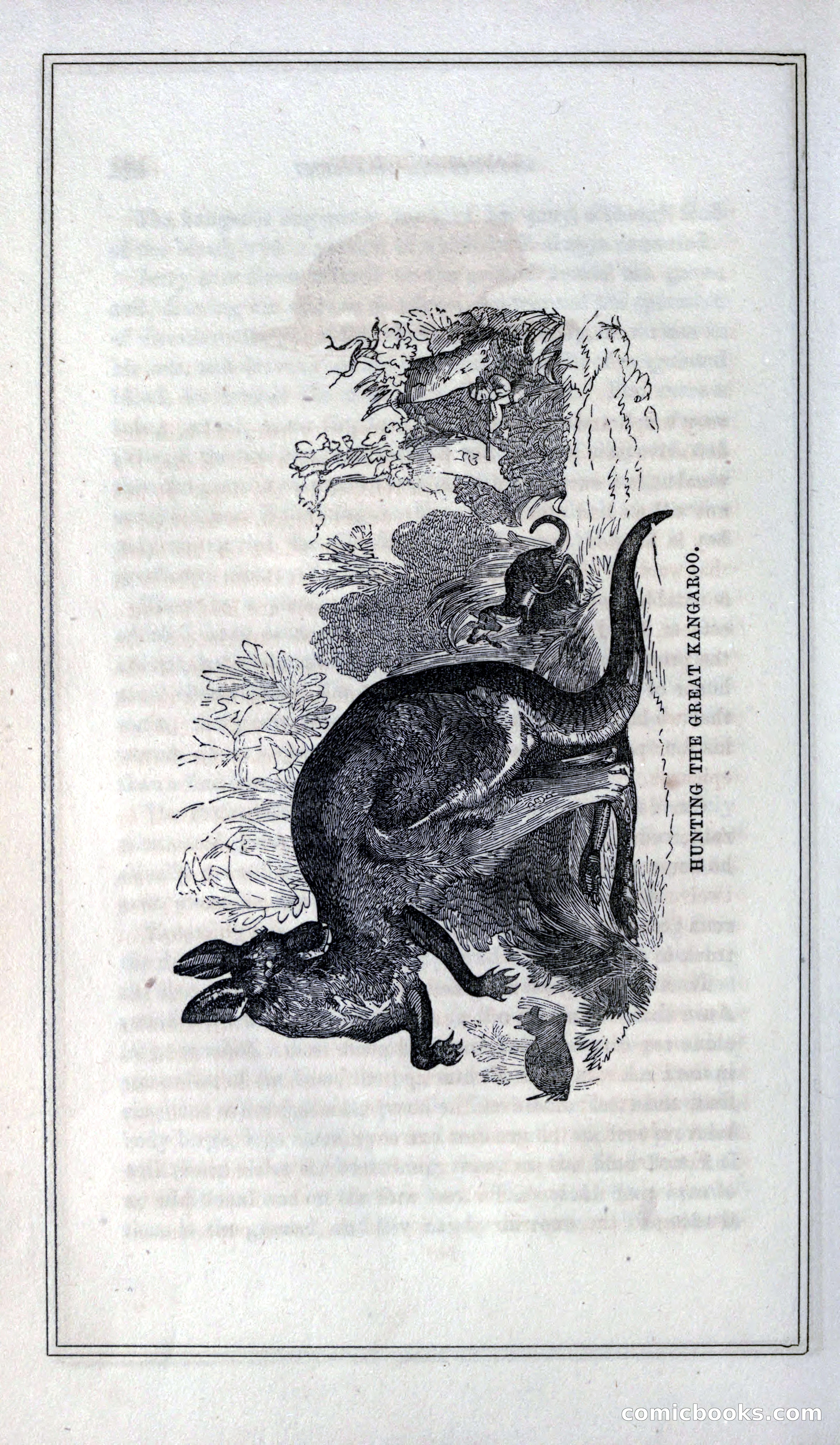 Thrilling Adventures of Hunters, in the Old World and the New — page 196 of 399