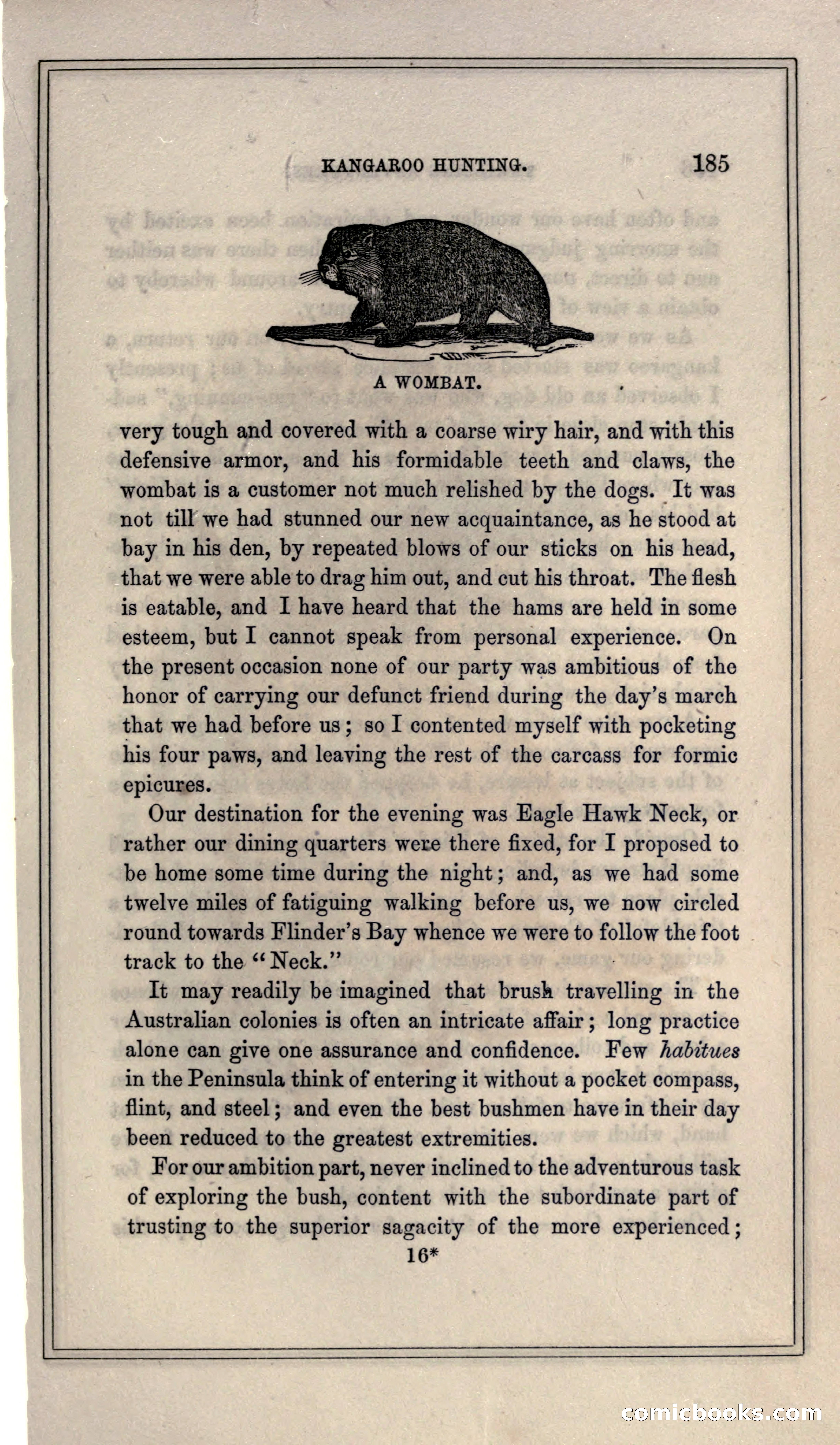 Thrilling Adventures of Hunters, in the Old World and the New — page 197 of 399