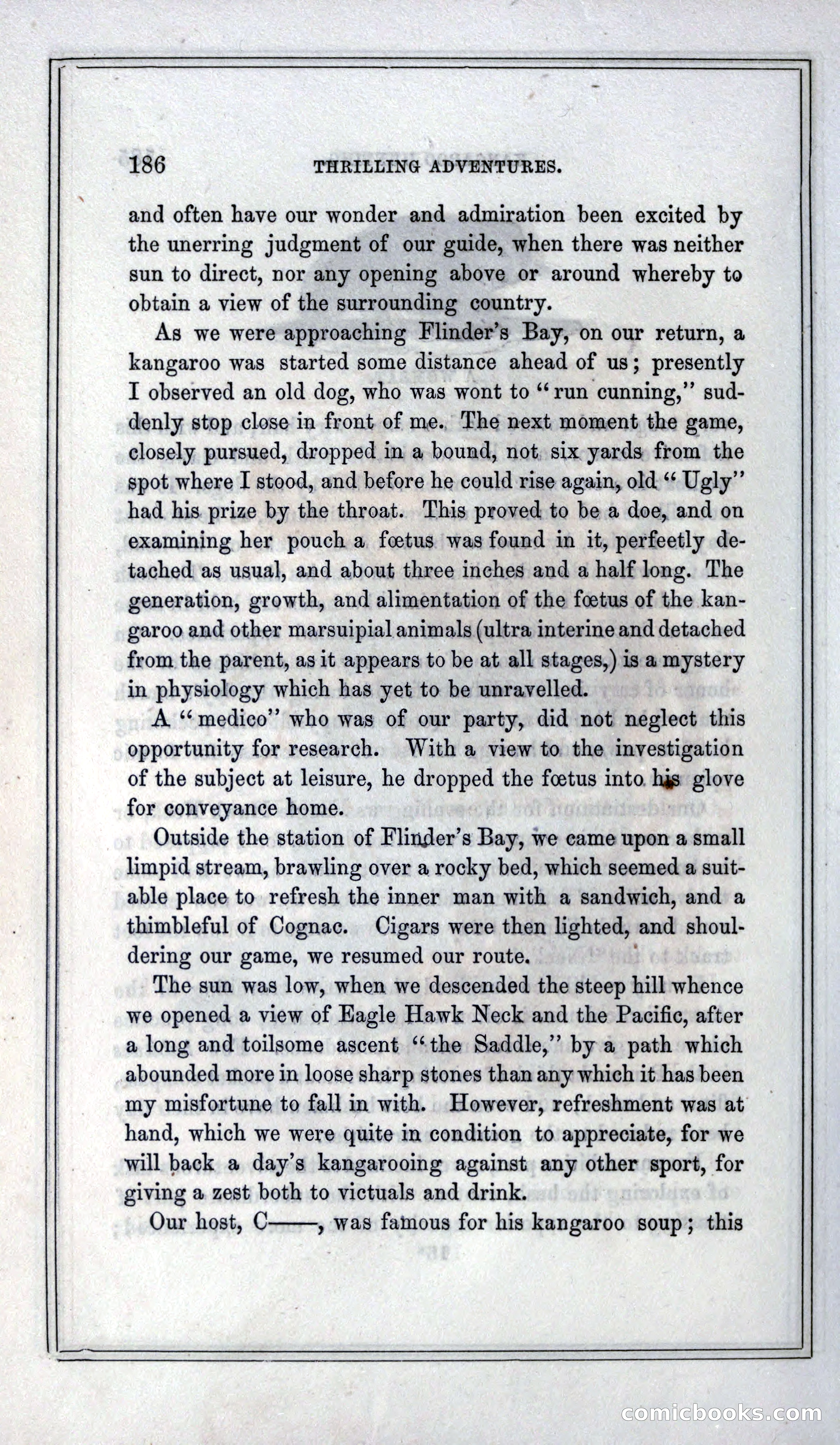 Thrilling Adventures of Hunters, in the Old World and the New — page 198 of 399