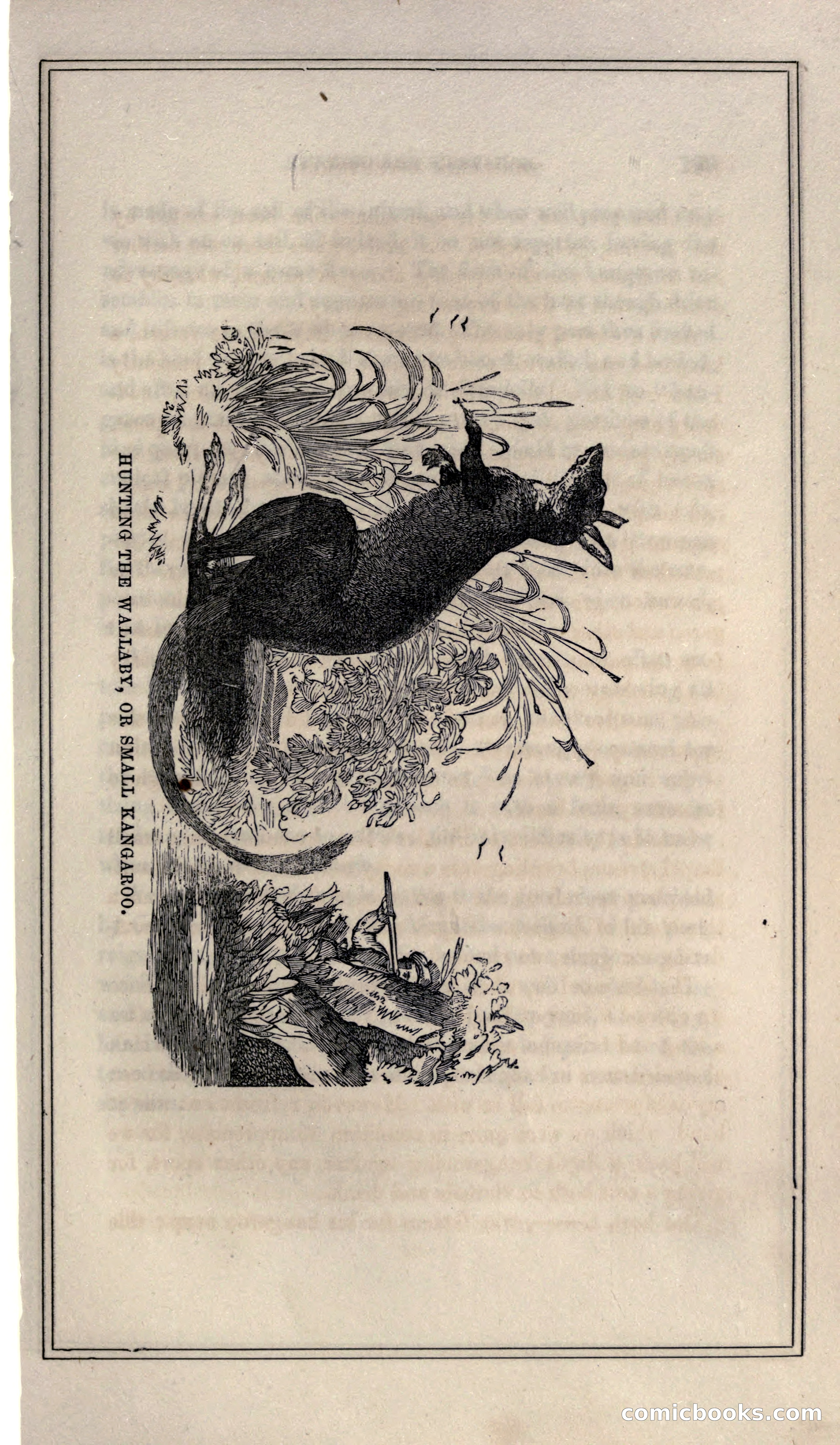 Thrilling Adventures of Hunters, in the Old World and the New — page 199 of 399