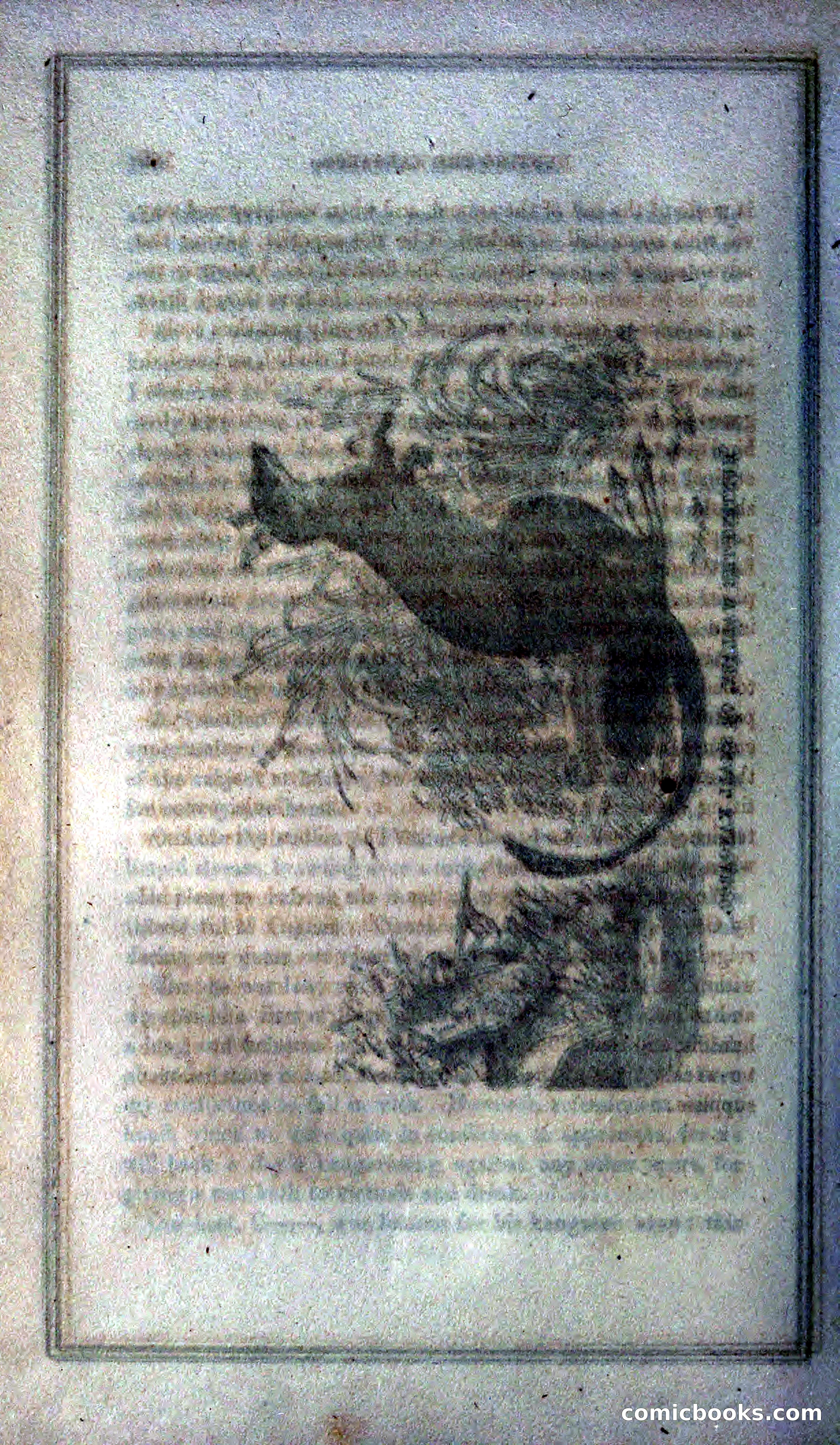 Thrilling Adventures of Hunters, in the Old World and the New — page 200 of 399
