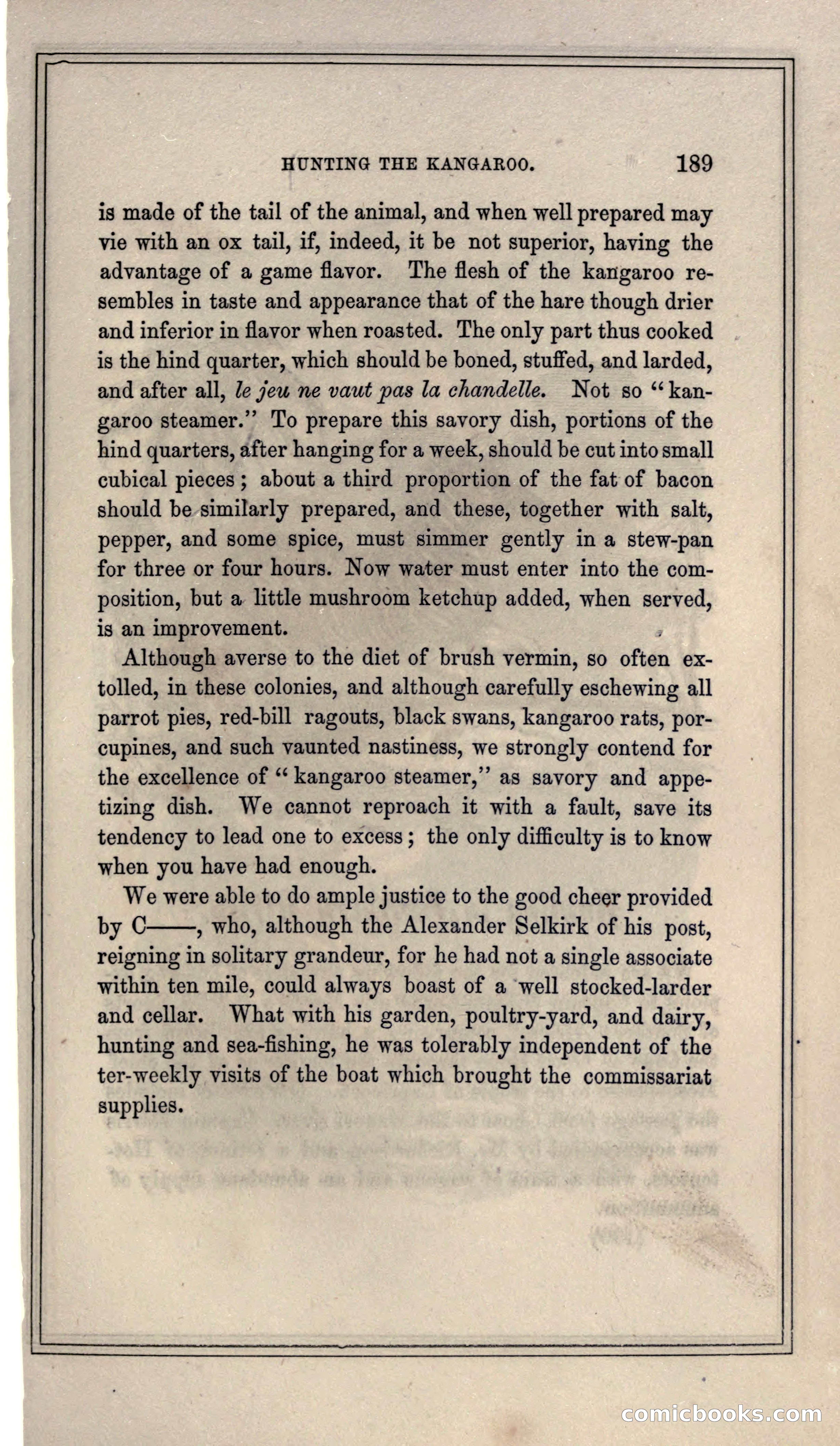 Thrilling Adventures of Hunters, in the Old World and the New — page 201 of 399
