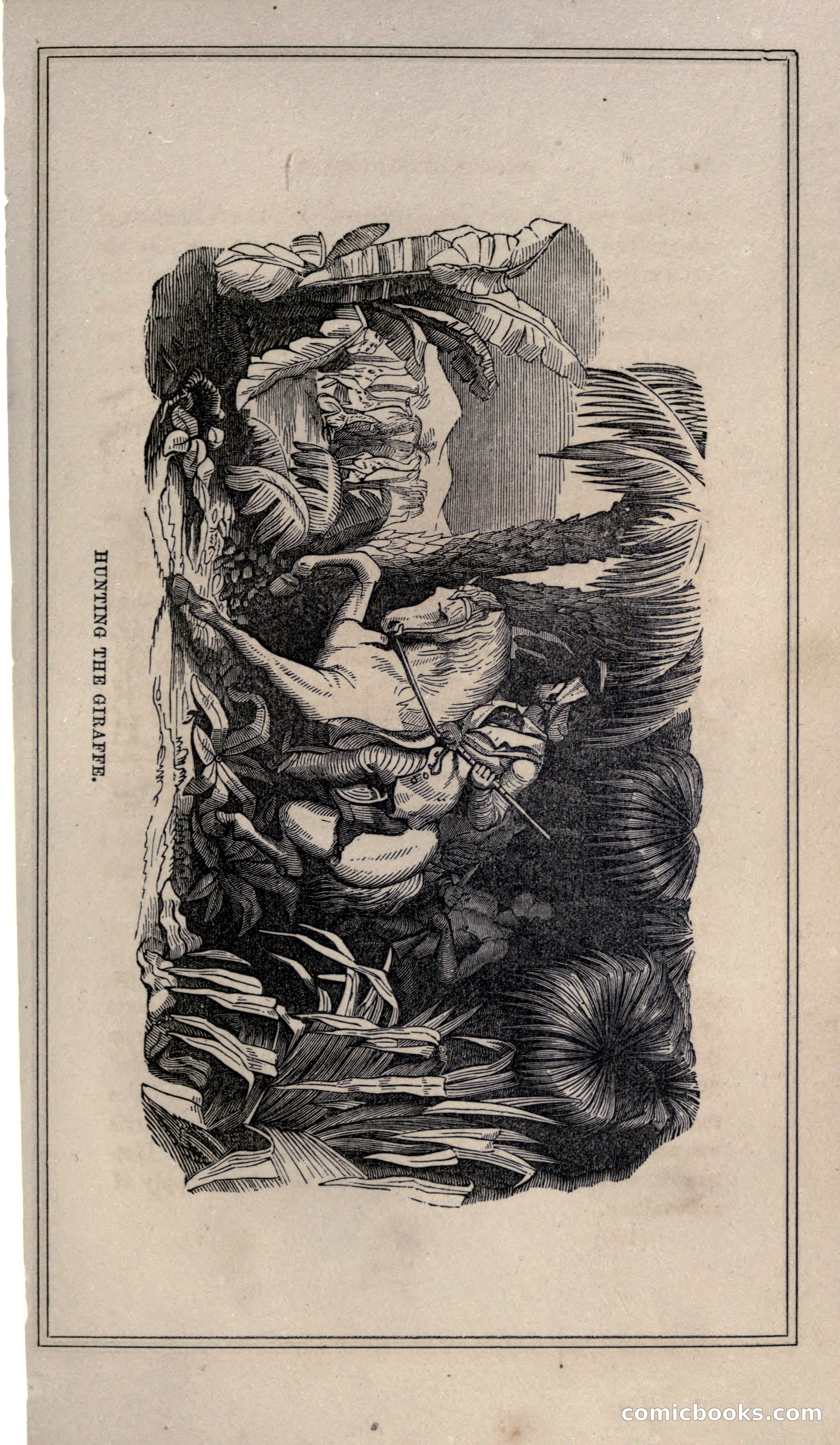 Thrilling Adventures of Hunters, in the Old World and the New — page 203 of 399