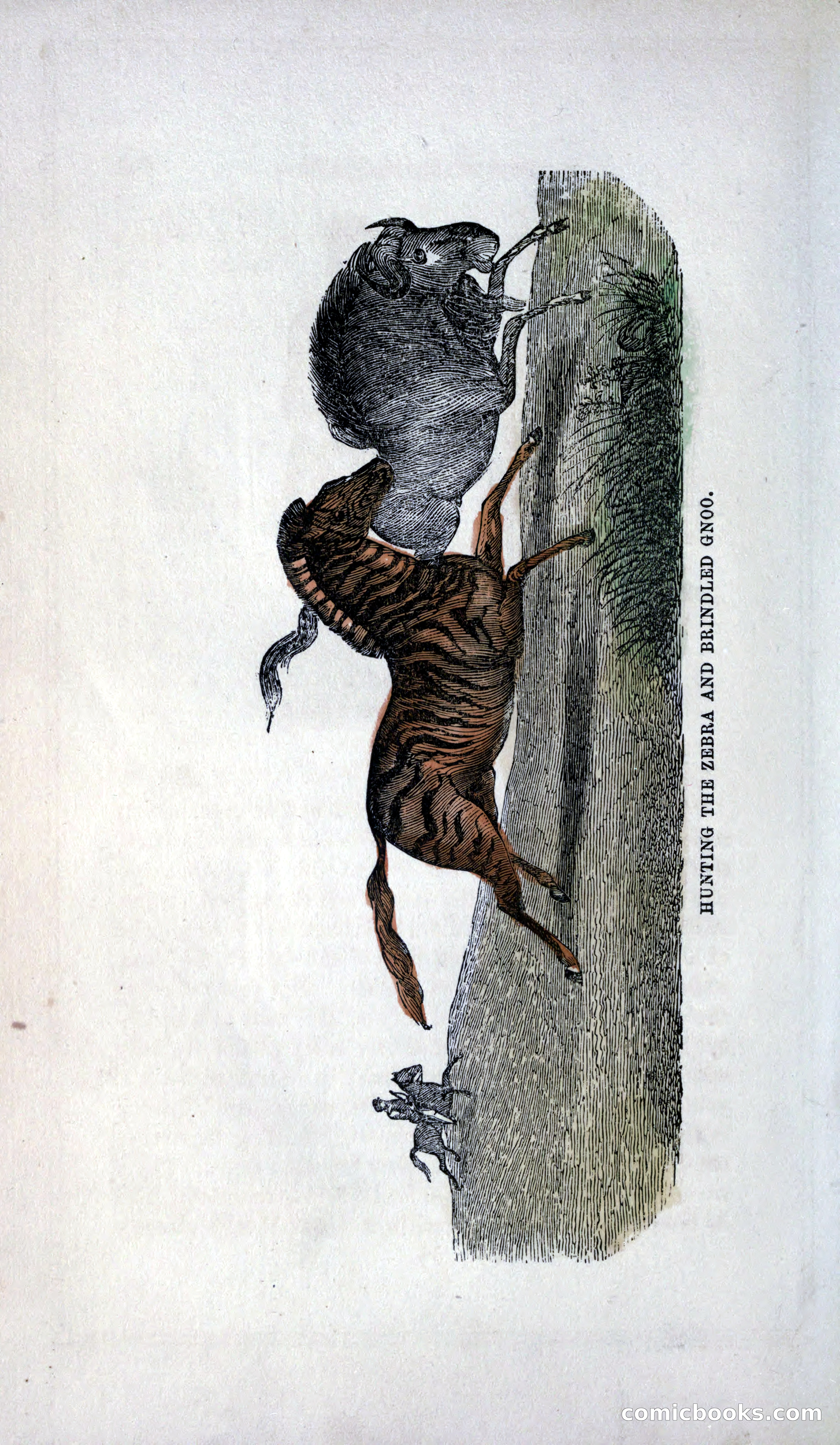 Thrilling Adventures of Hunters, in the Old World and the New — page 206 of 399