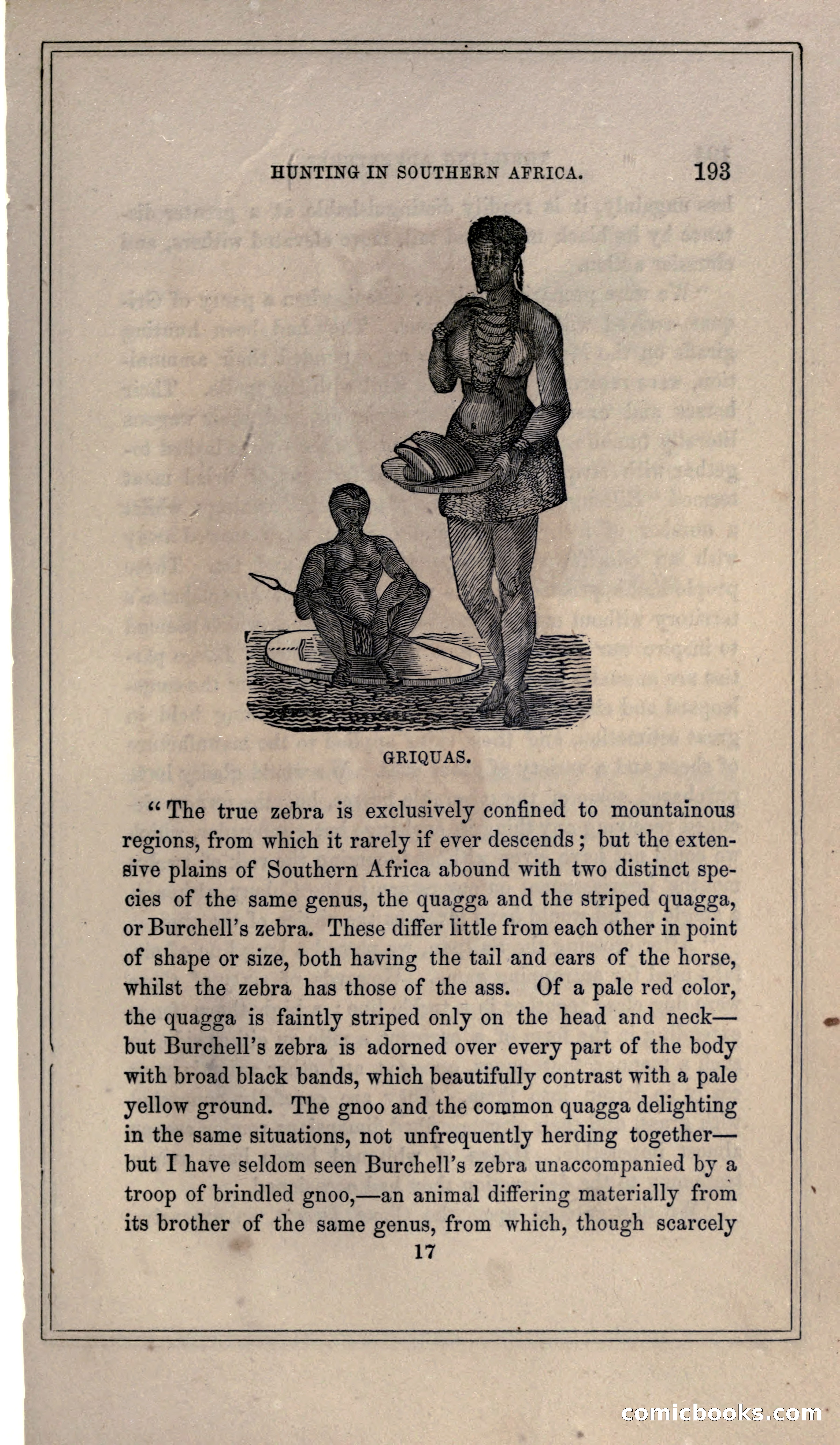 Thrilling Adventures of Hunters, in the Old World and the New — page 207 of 399