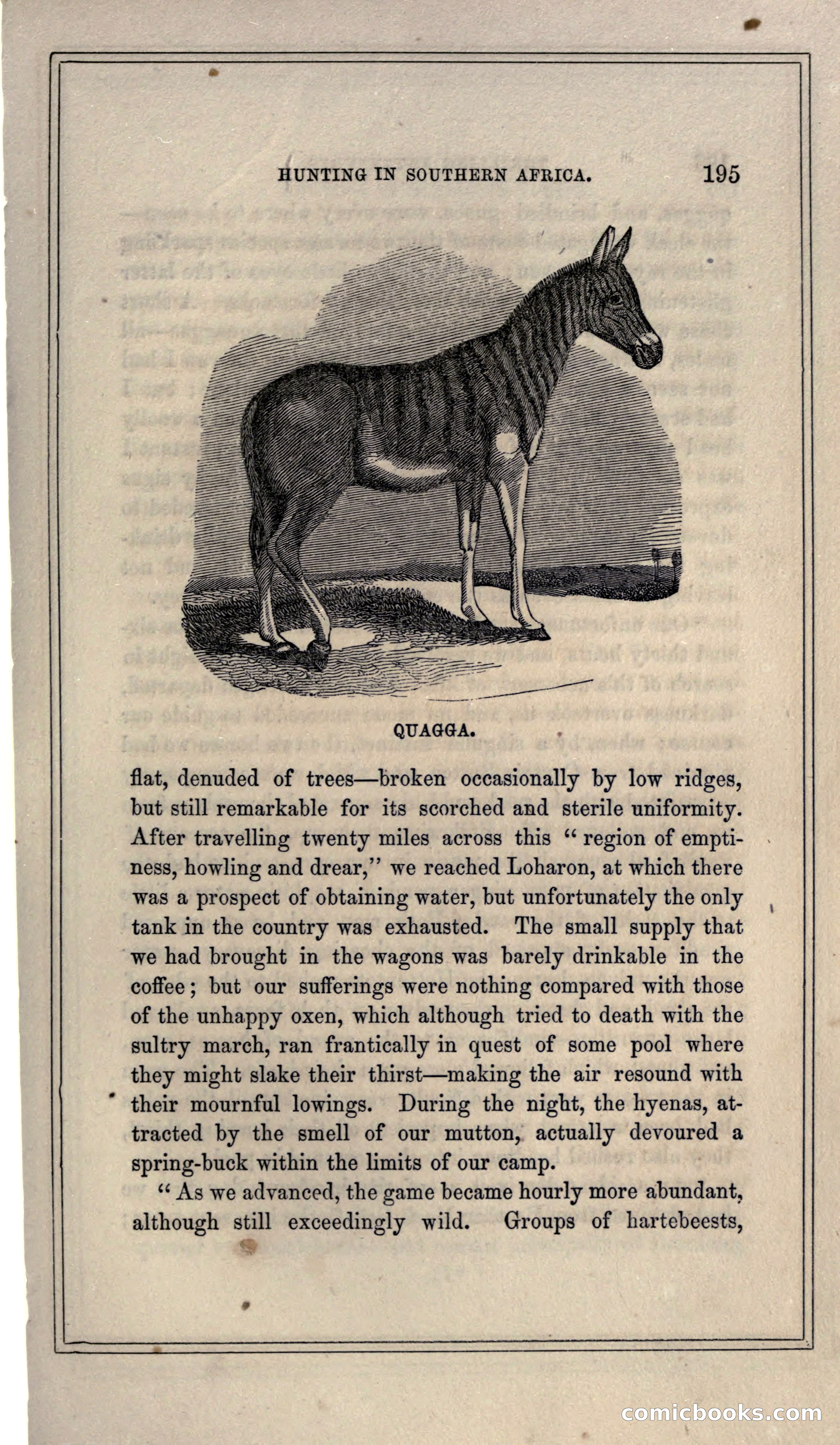Thrilling Adventures of Hunters, in the Old World and the New — page 209 of 399