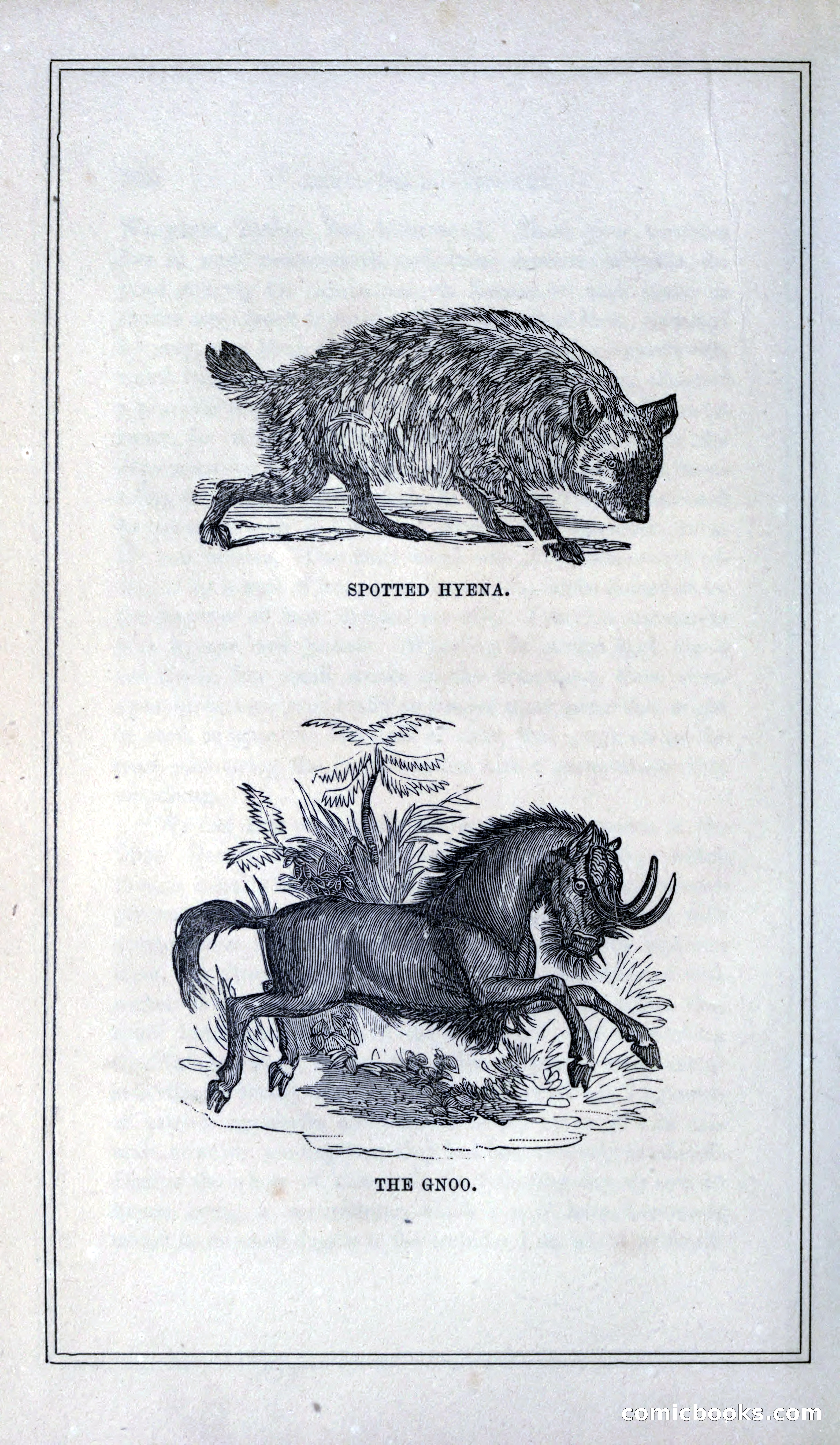 Thrilling Adventures of Hunters, in the Old World and the New — page 214 of 399