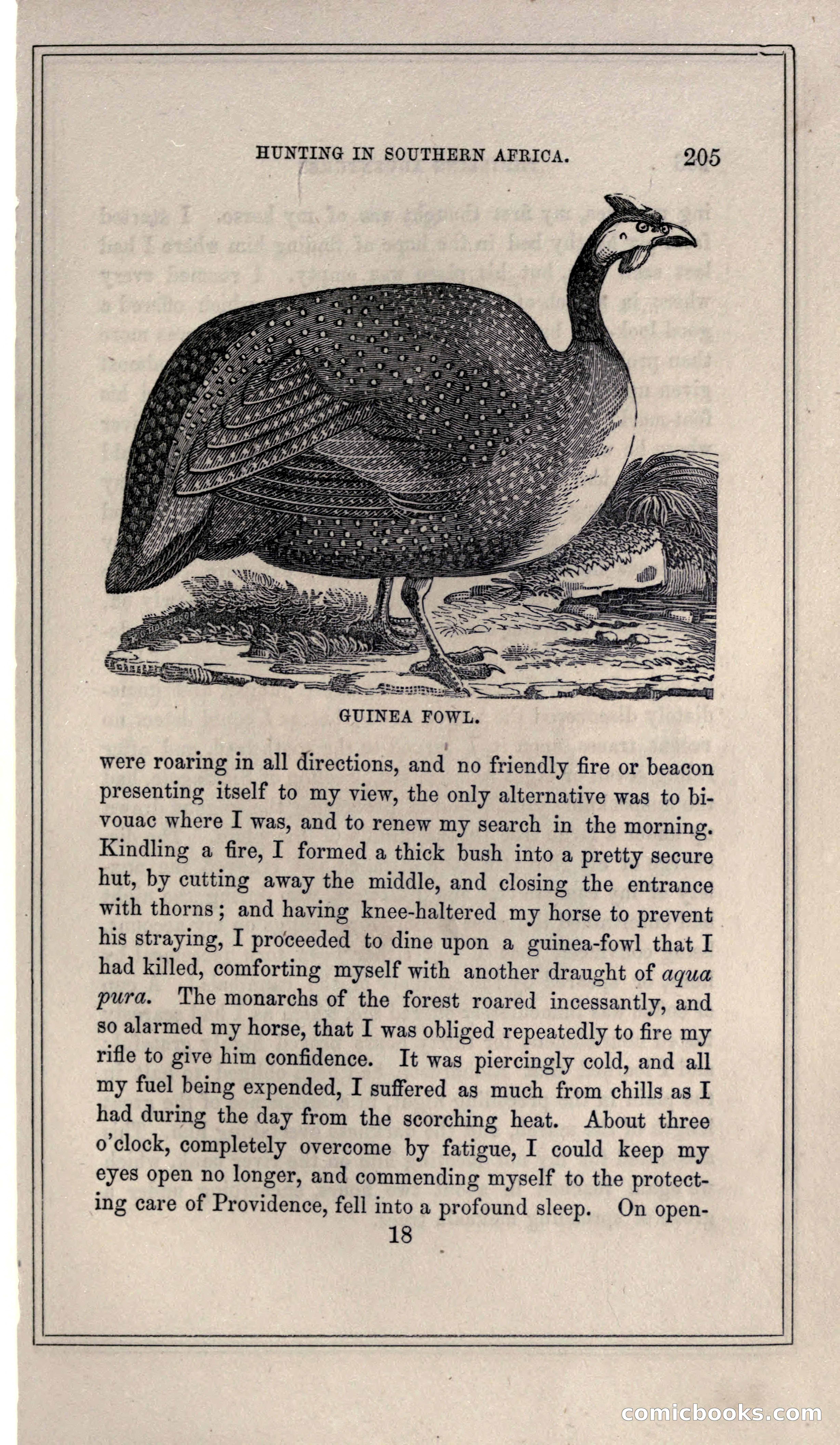 Thrilling Adventures of Hunters, in the Old World and the New — page 221 of 399