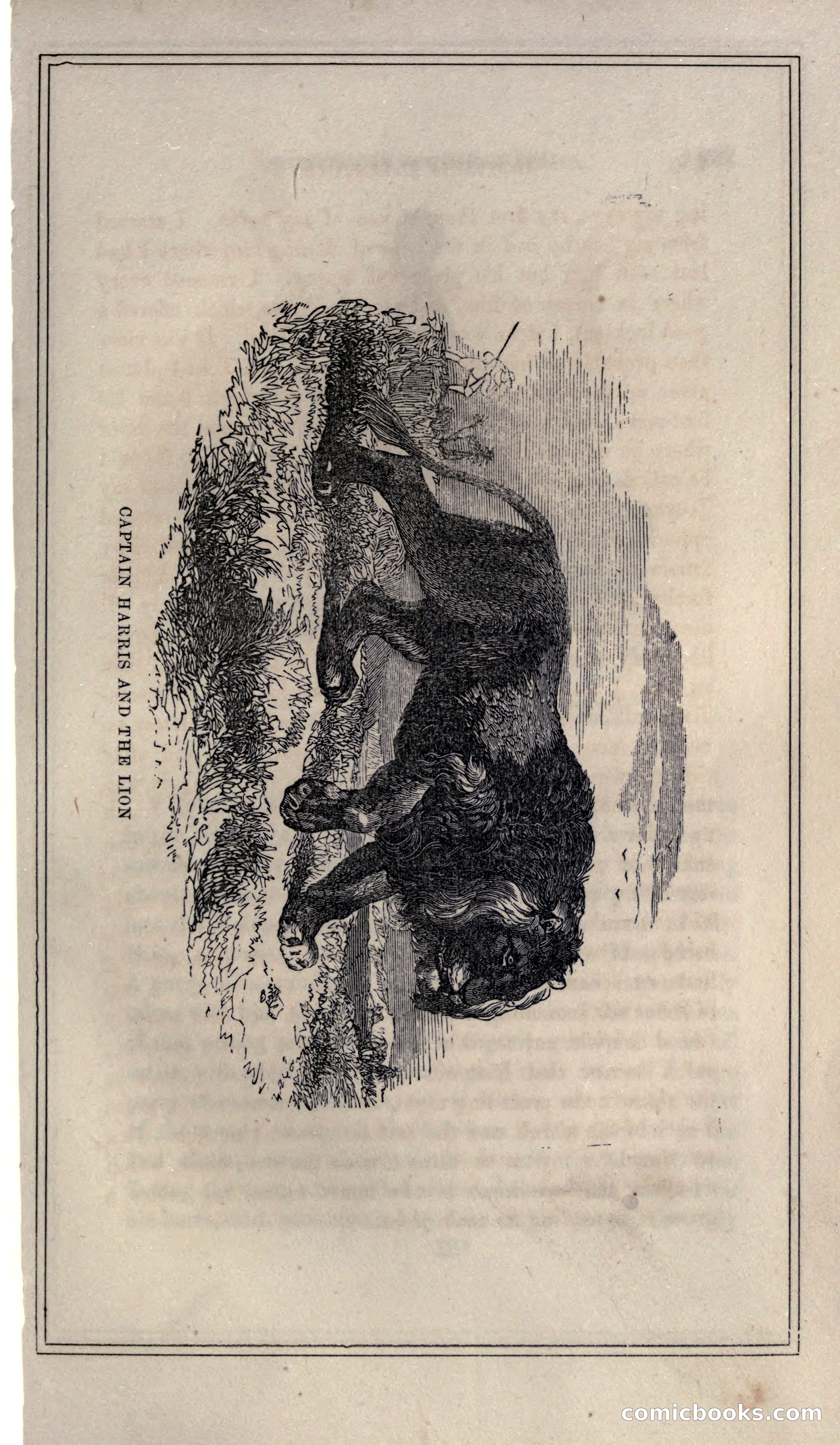 Thrilling Adventures of Hunters, in the Old World and the New — page 223 of 399