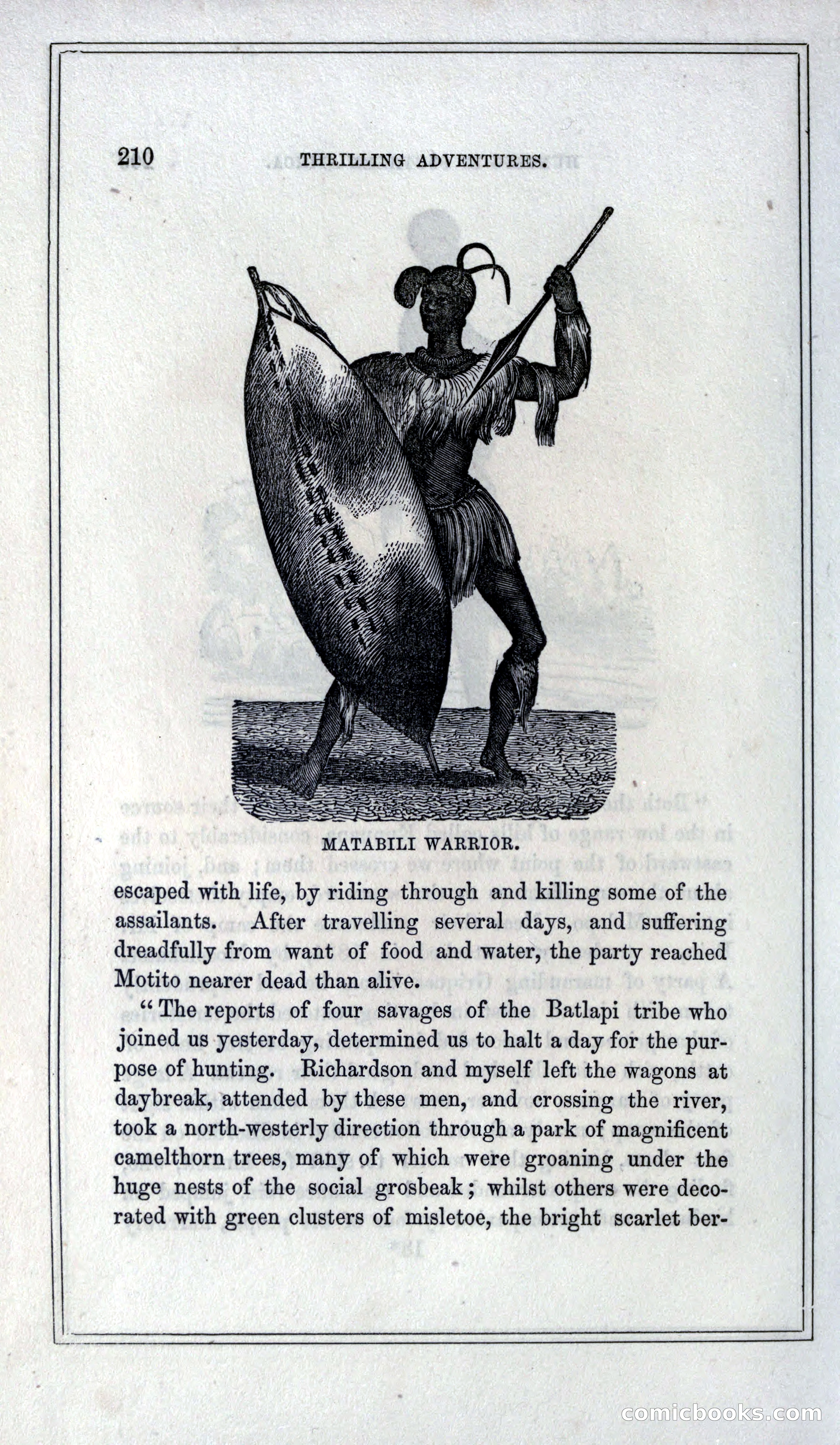 Thrilling Adventures of Hunters, in the Old World and the New — page 226 of 399