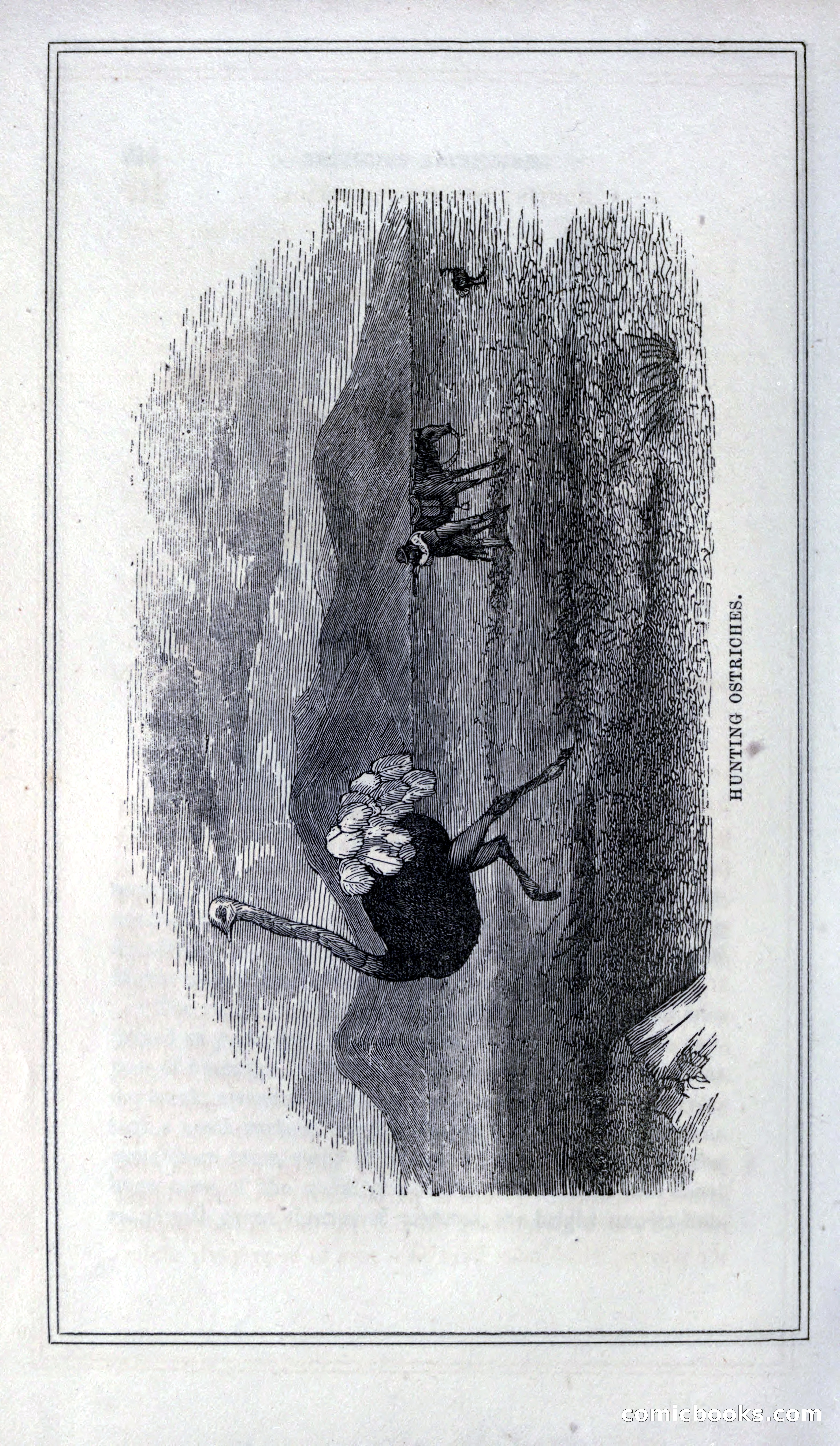 Thrilling Adventures of Hunters, in the Old World and the New — page 228 of 399
