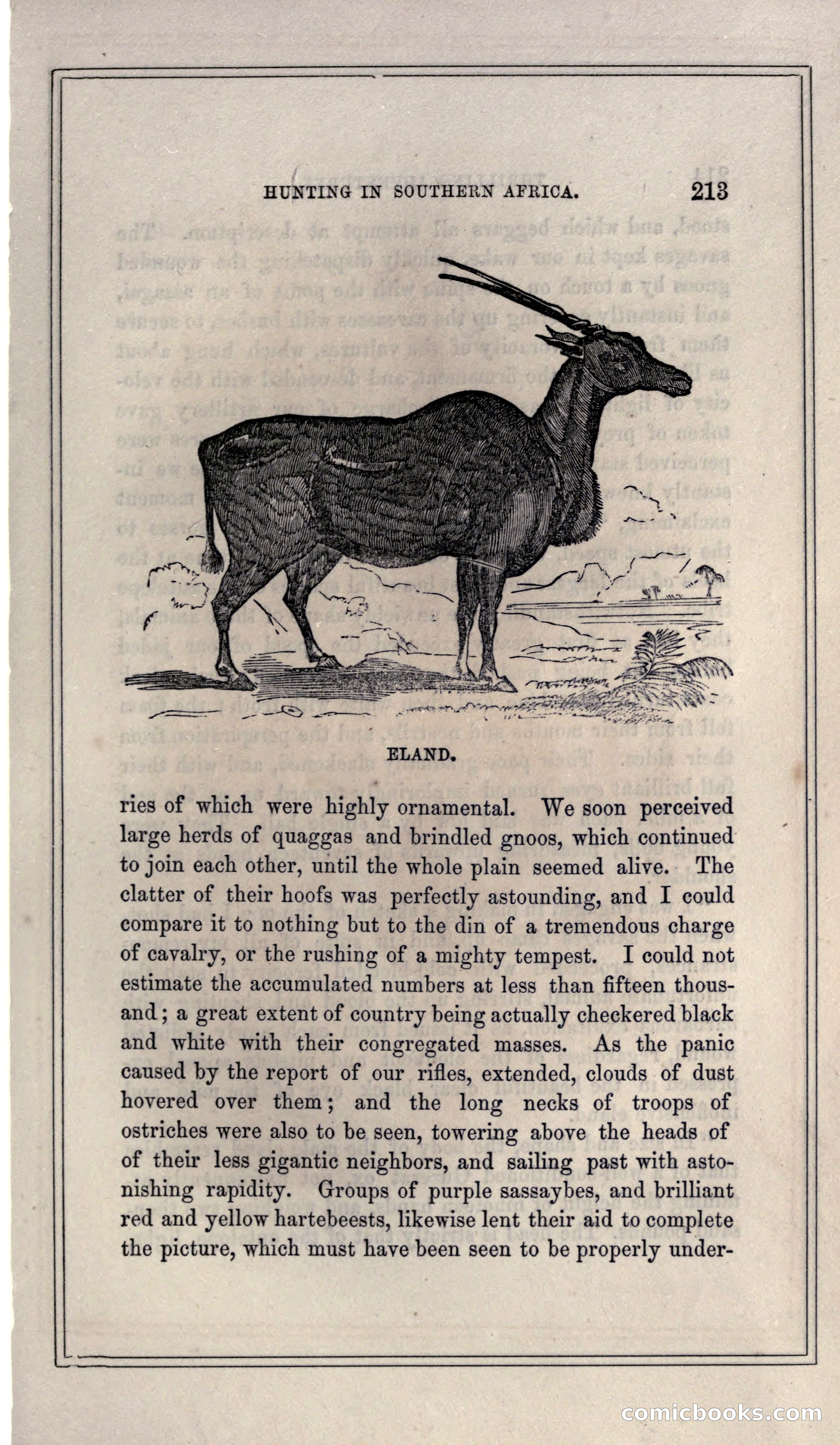 Thrilling Adventures of Hunters, in the Old World and the New — page 229 of 399