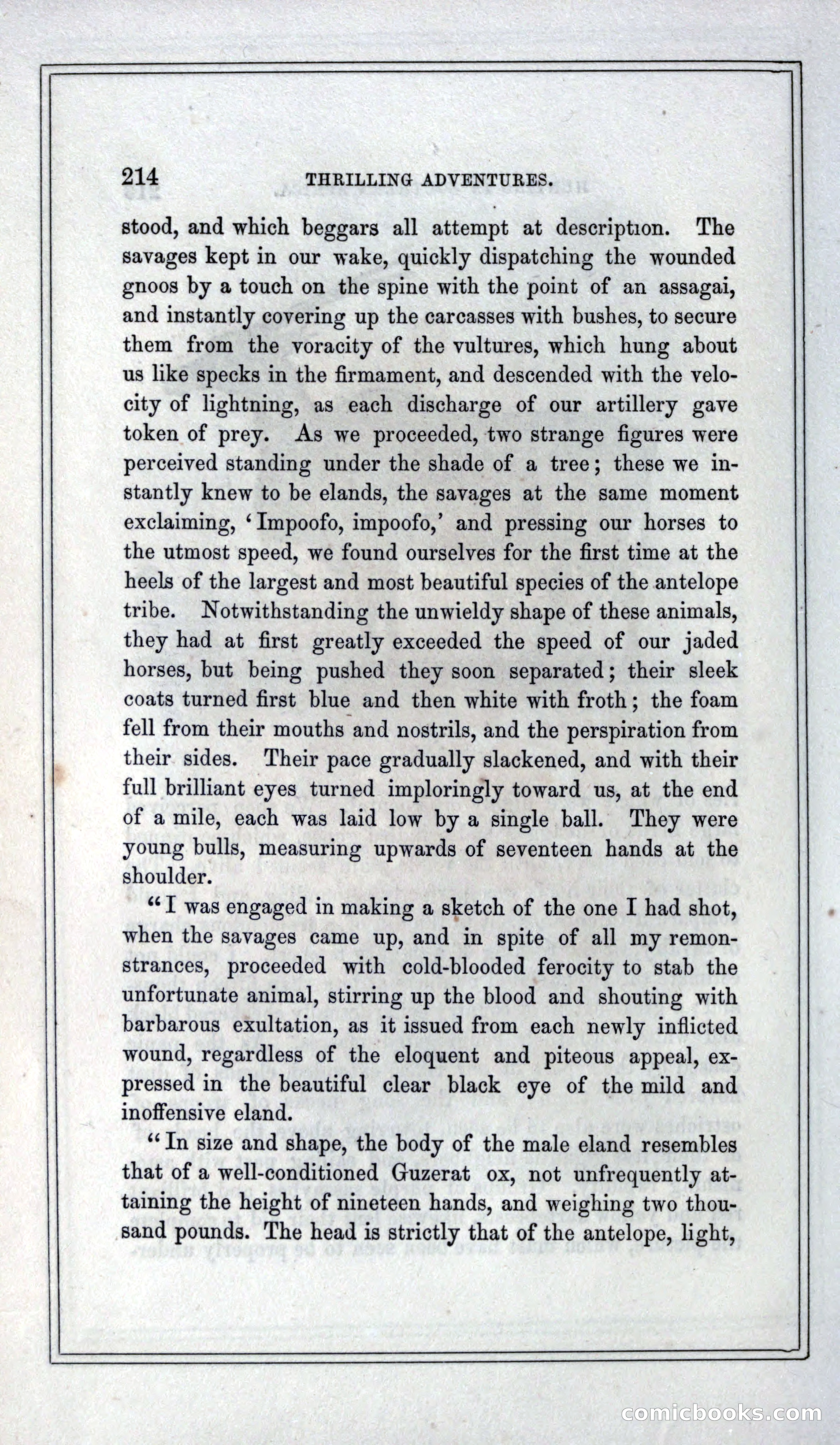 Thrilling Adventures of Hunters, in the Old World and the New — page 230 of 399