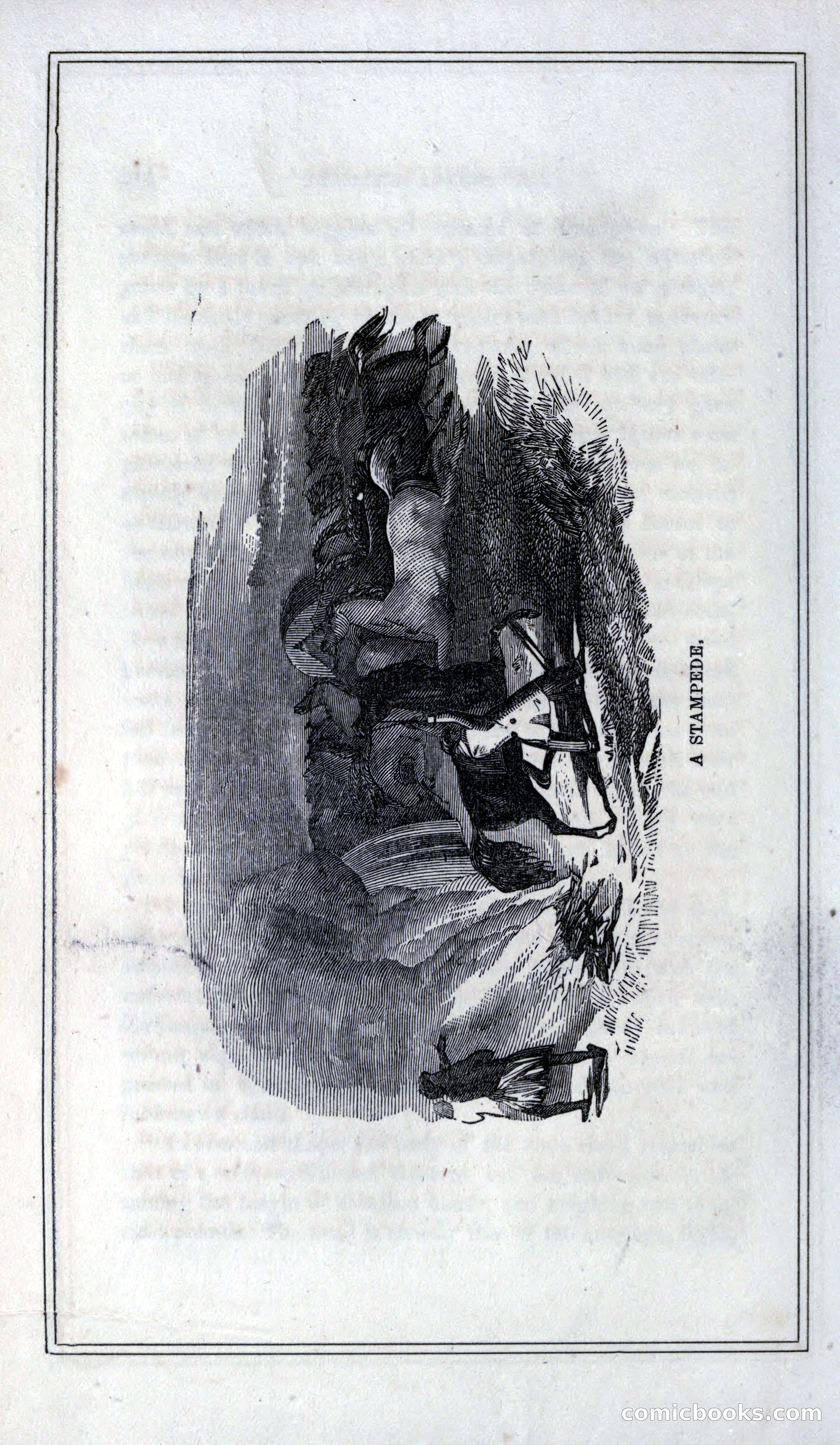 Thrilling Adventures of Hunters, in the Old World and the New — page 232 of 399