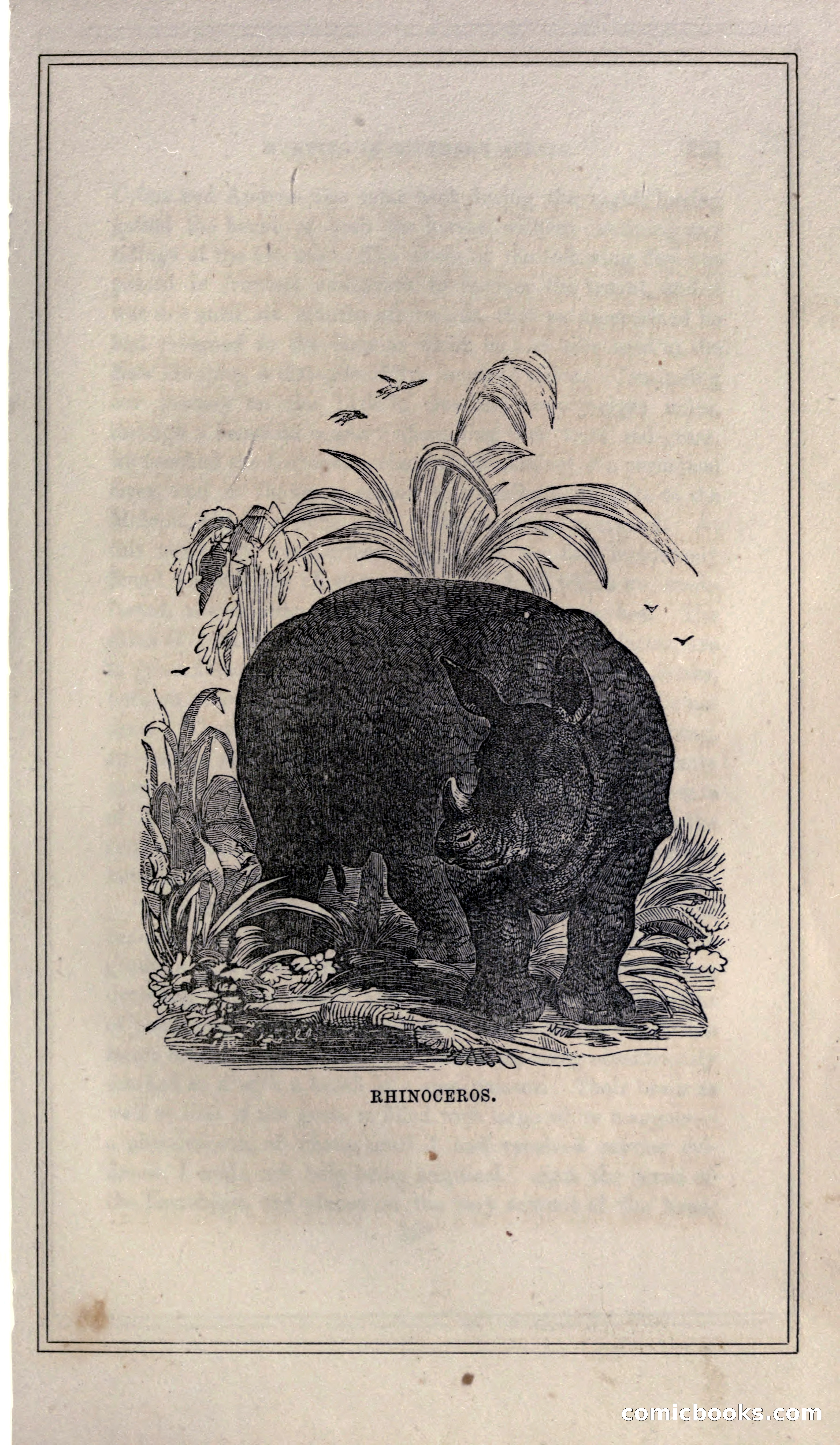 Thrilling Adventures of Hunters, in the Old World and the New — page 235 of 399