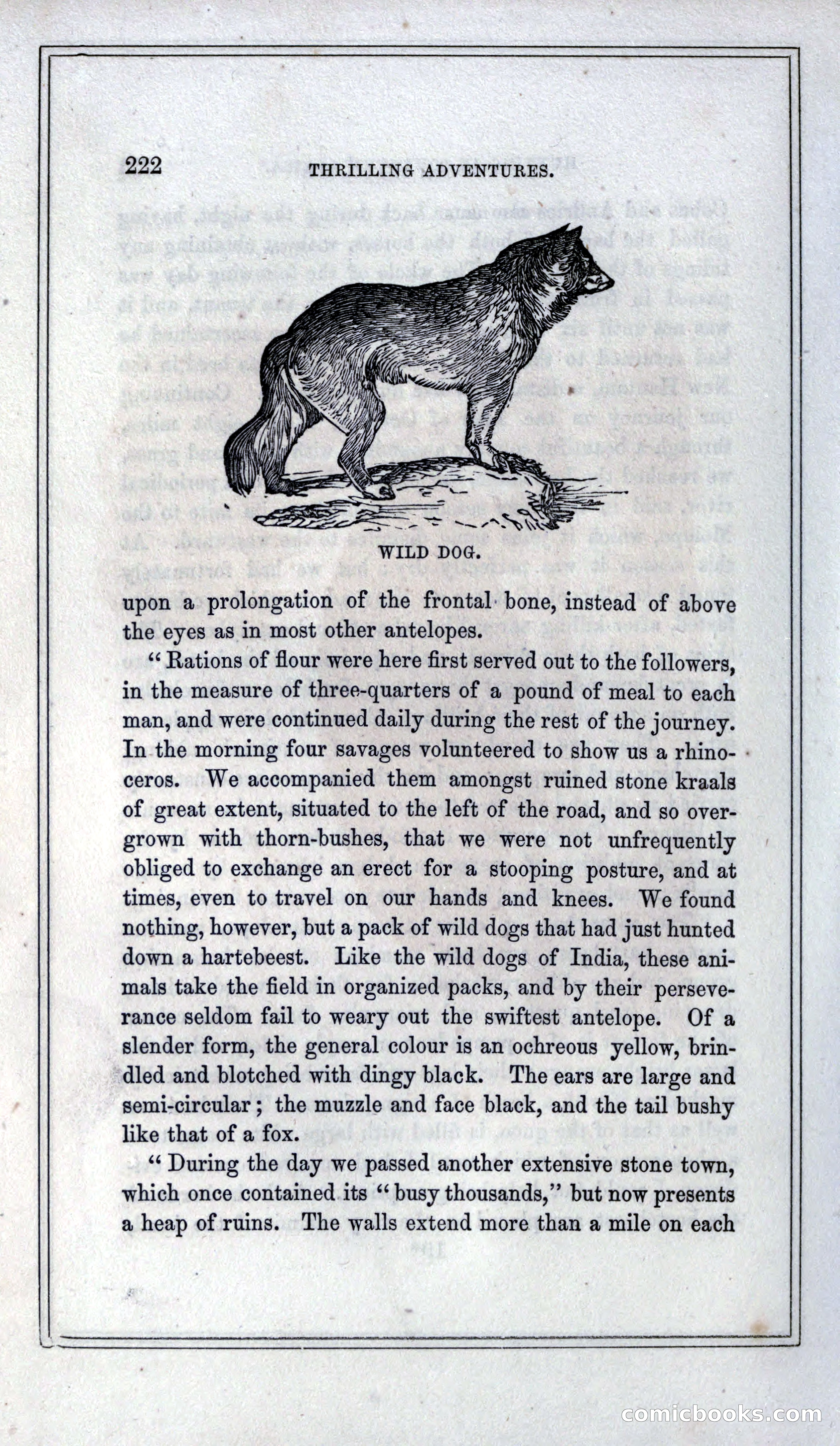 Thrilling Adventures of Hunters, in the Old World and the New — page 238 of 399