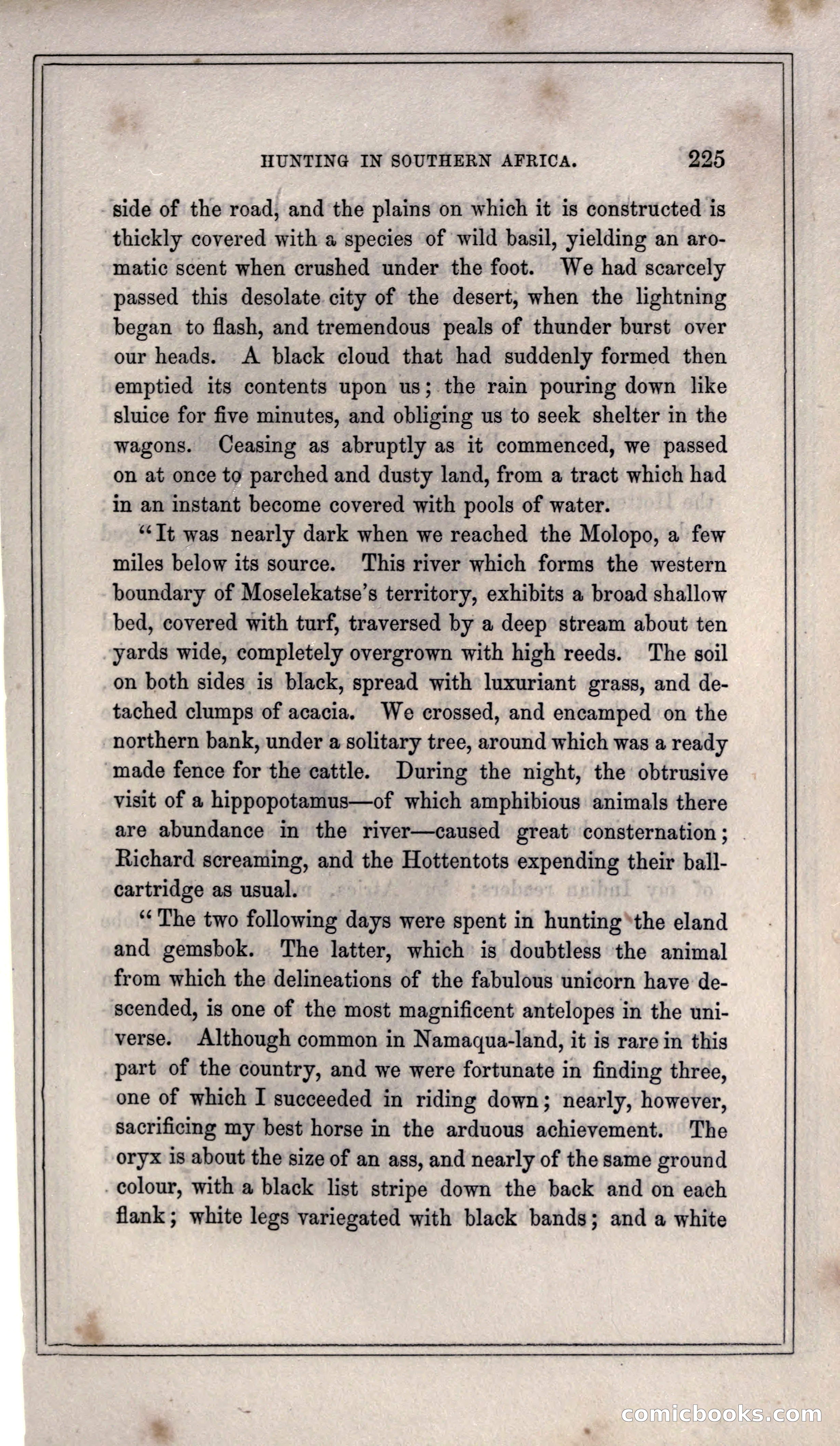 Thrilling Adventures of Hunters, in the Old World and the New — page 241 of 399