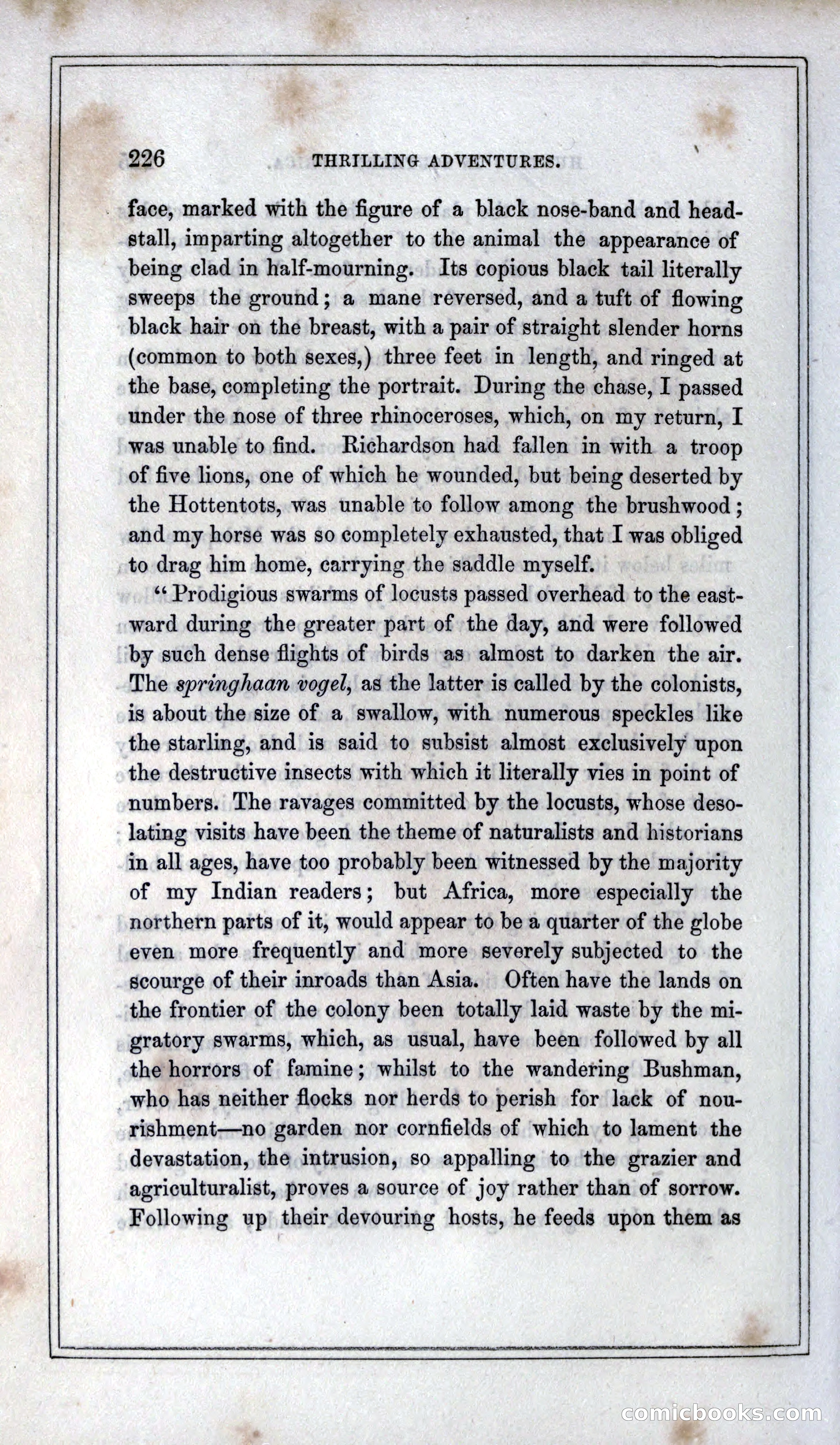 Thrilling Adventures of Hunters, in the Old World and the New — page 242 of 399