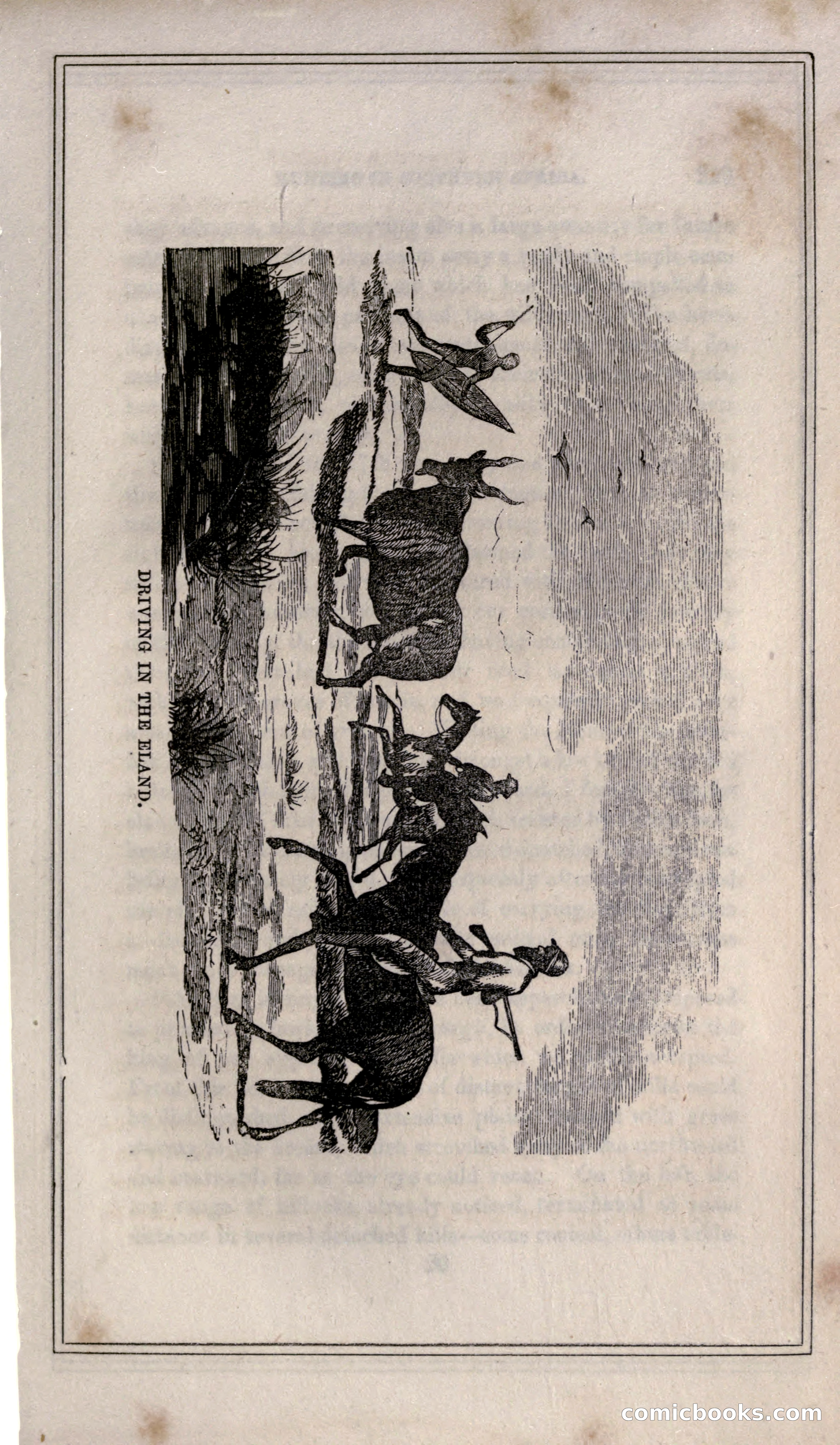 Thrilling Adventures of Hunters, in the Old World and the New — page 243 of 399