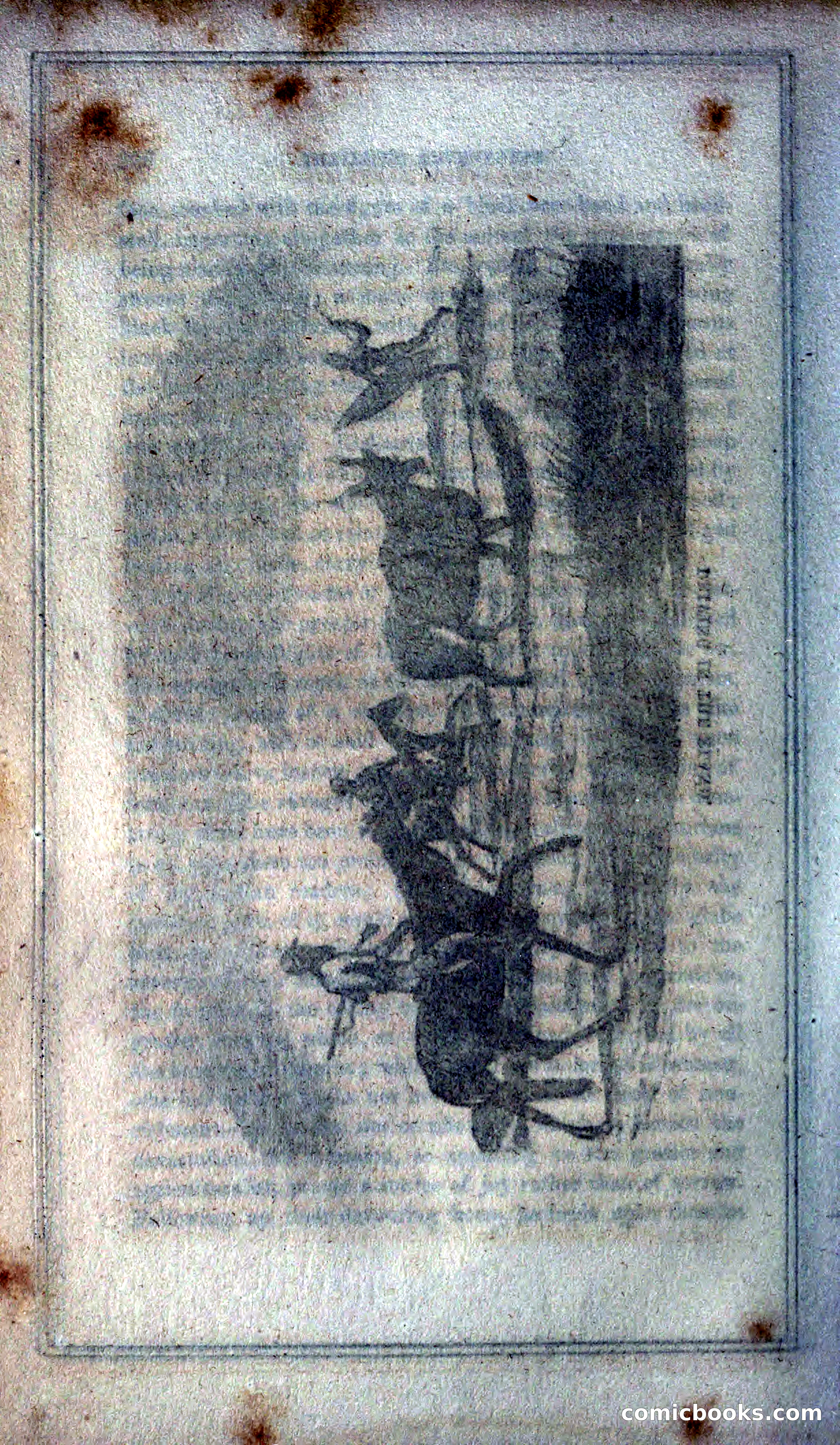 Thrilling Adventures of Hunters, in the Old World and the New — page 244 of 399