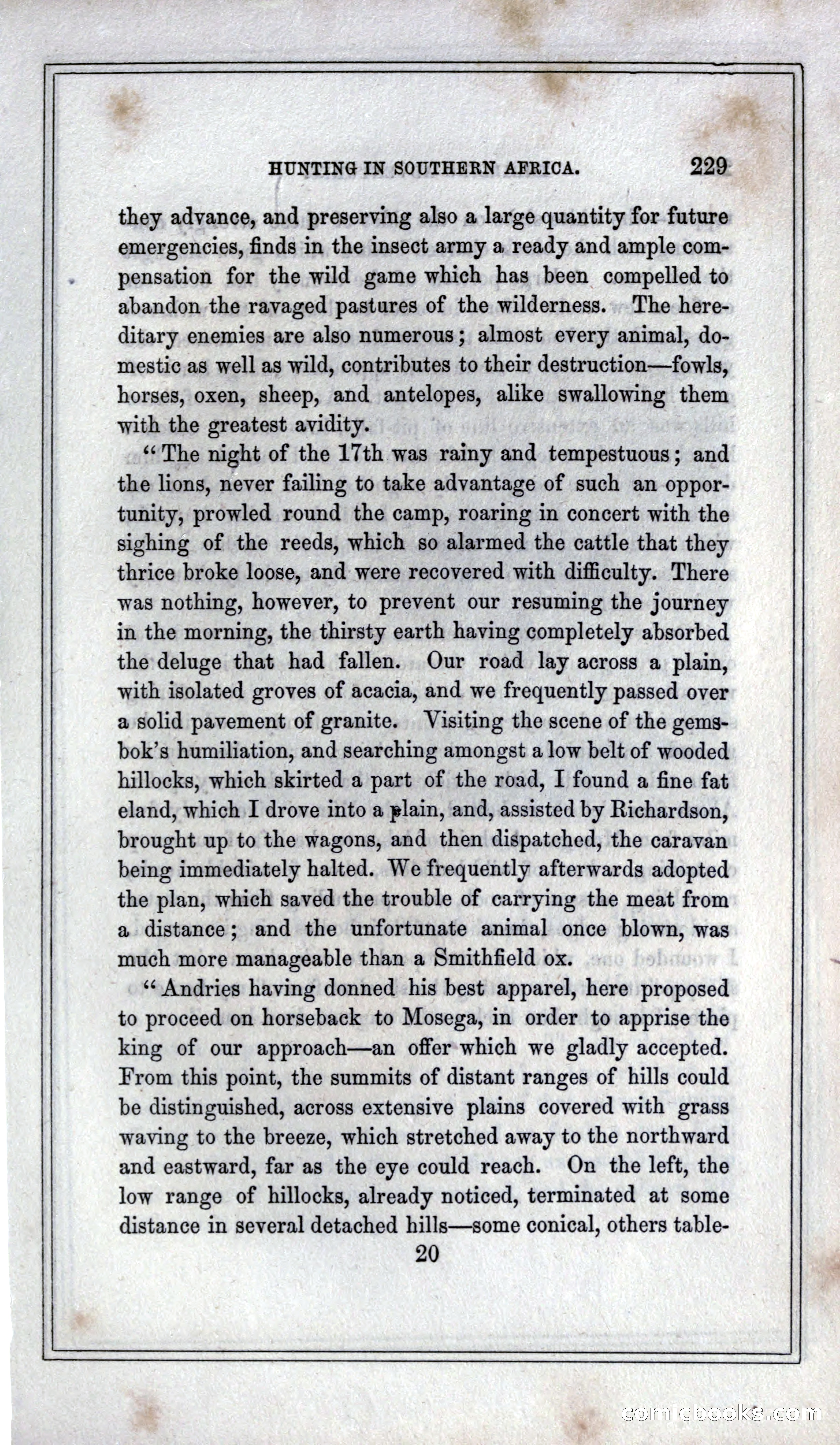 Thrilling Adventures of Hunters, in the Old World and the New — page 245 of 399