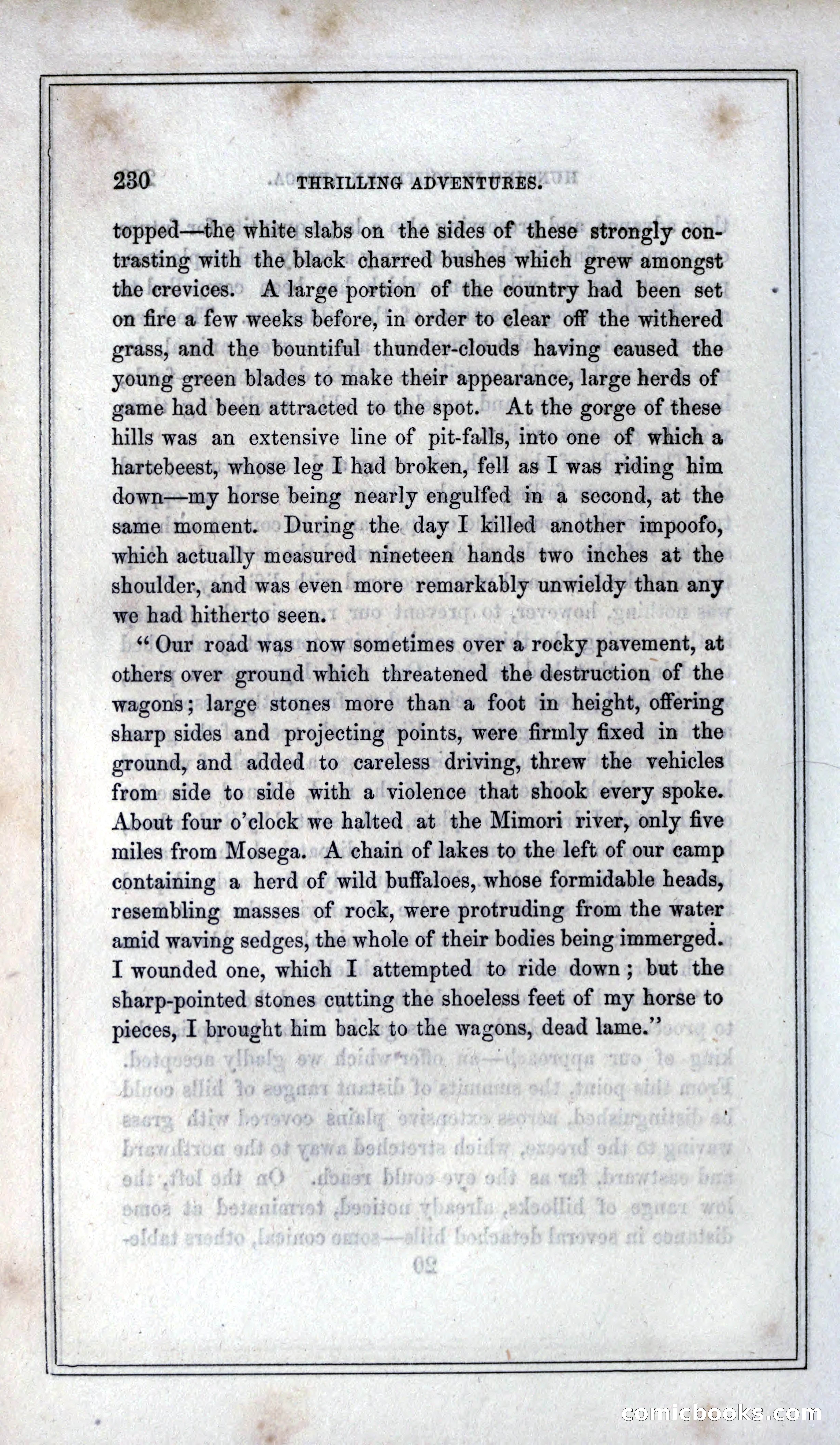 Thrilling Adventures of Hunters, in the Old World and the New — page 246 of 399