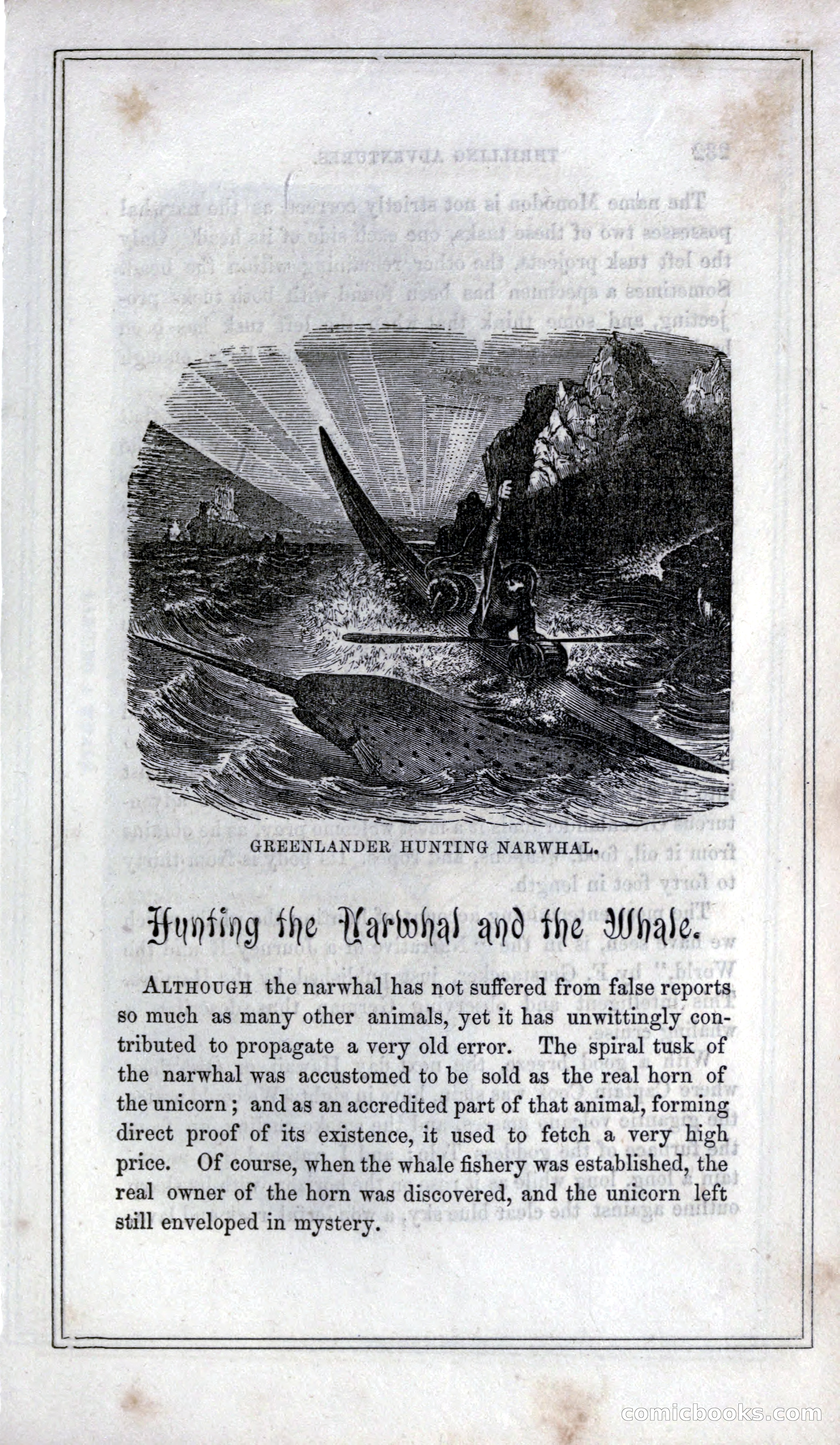 Thrilling Adventures of Hunters, in the Old World and the New — page 247 of 399