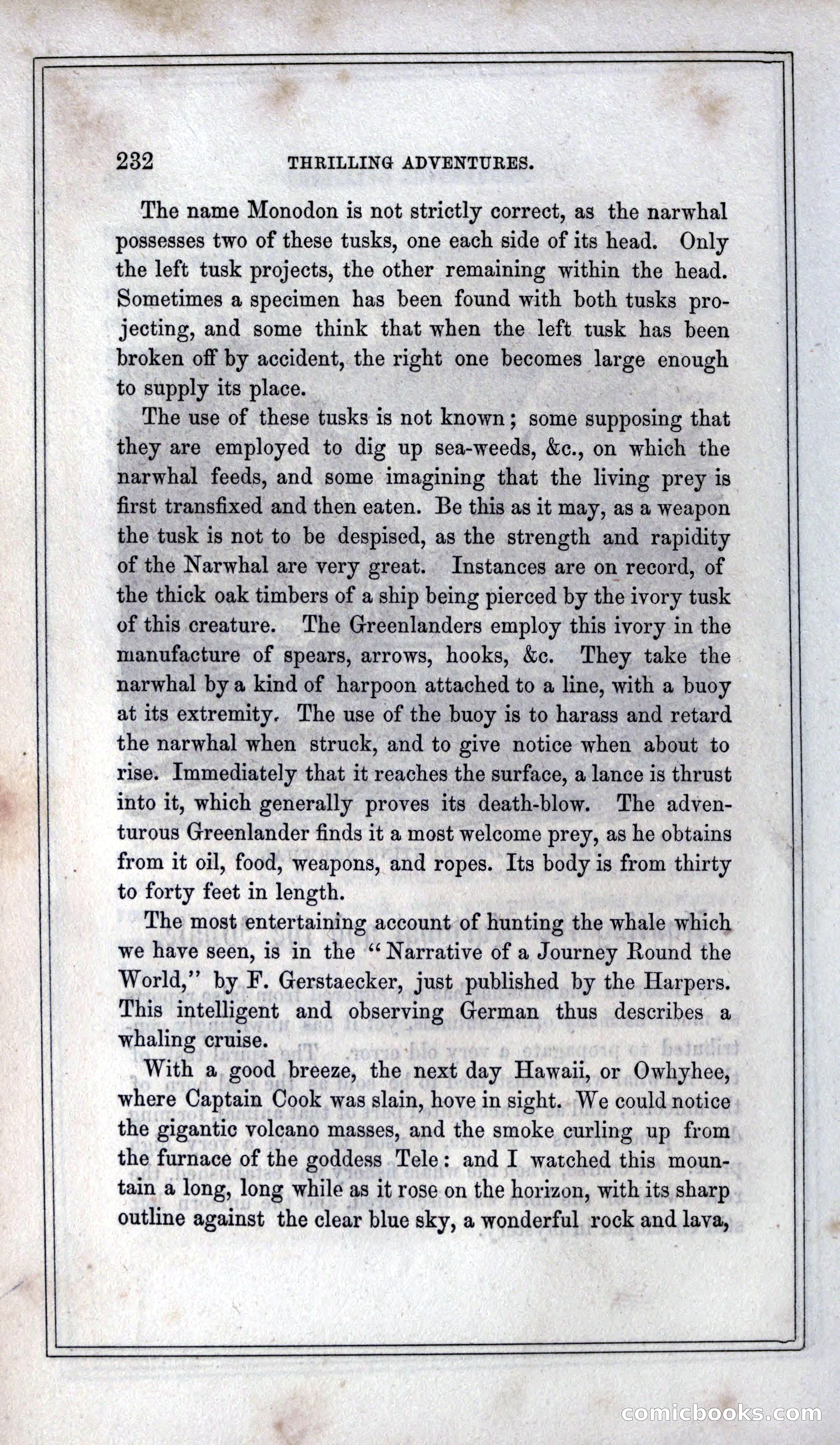Thrilling Adventures of Hunters, in the Old World and the New — page 248 of 399