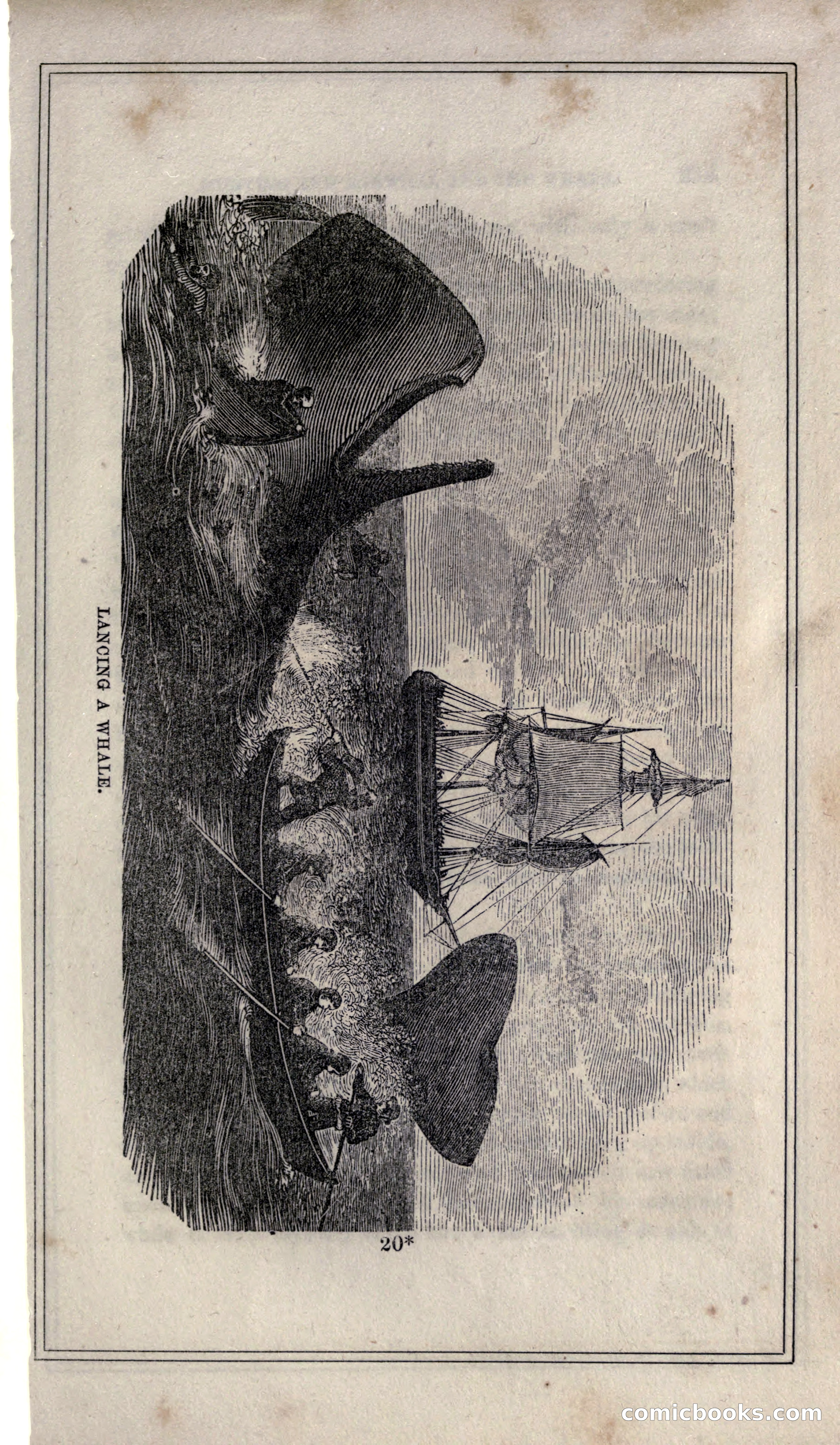 Thrilling Adventures of Hunters, in the Old World and the New — page 249 of 399