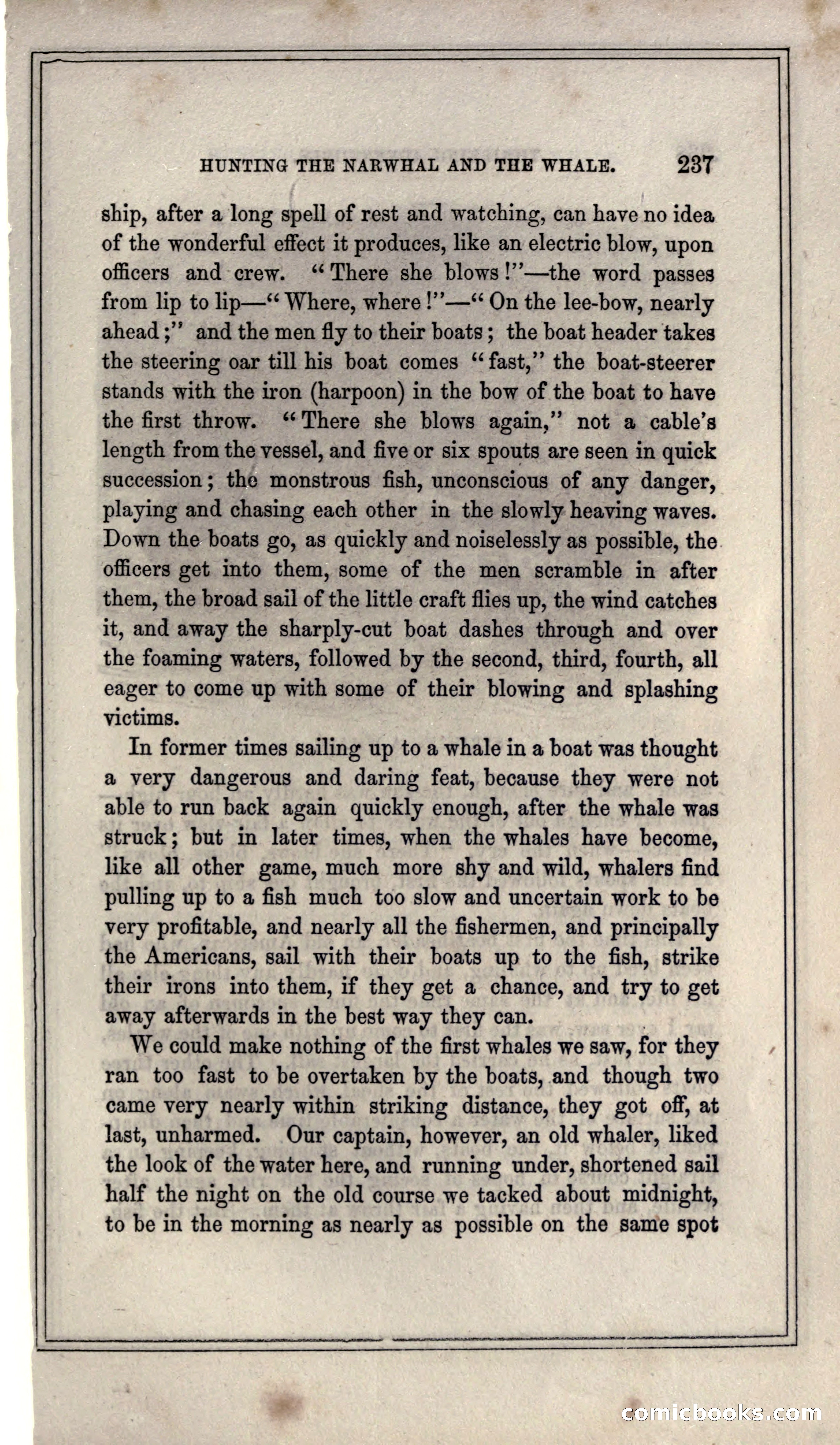 Thrilling Adventures of Hunters, in the Old World and the New — page 253 of 399