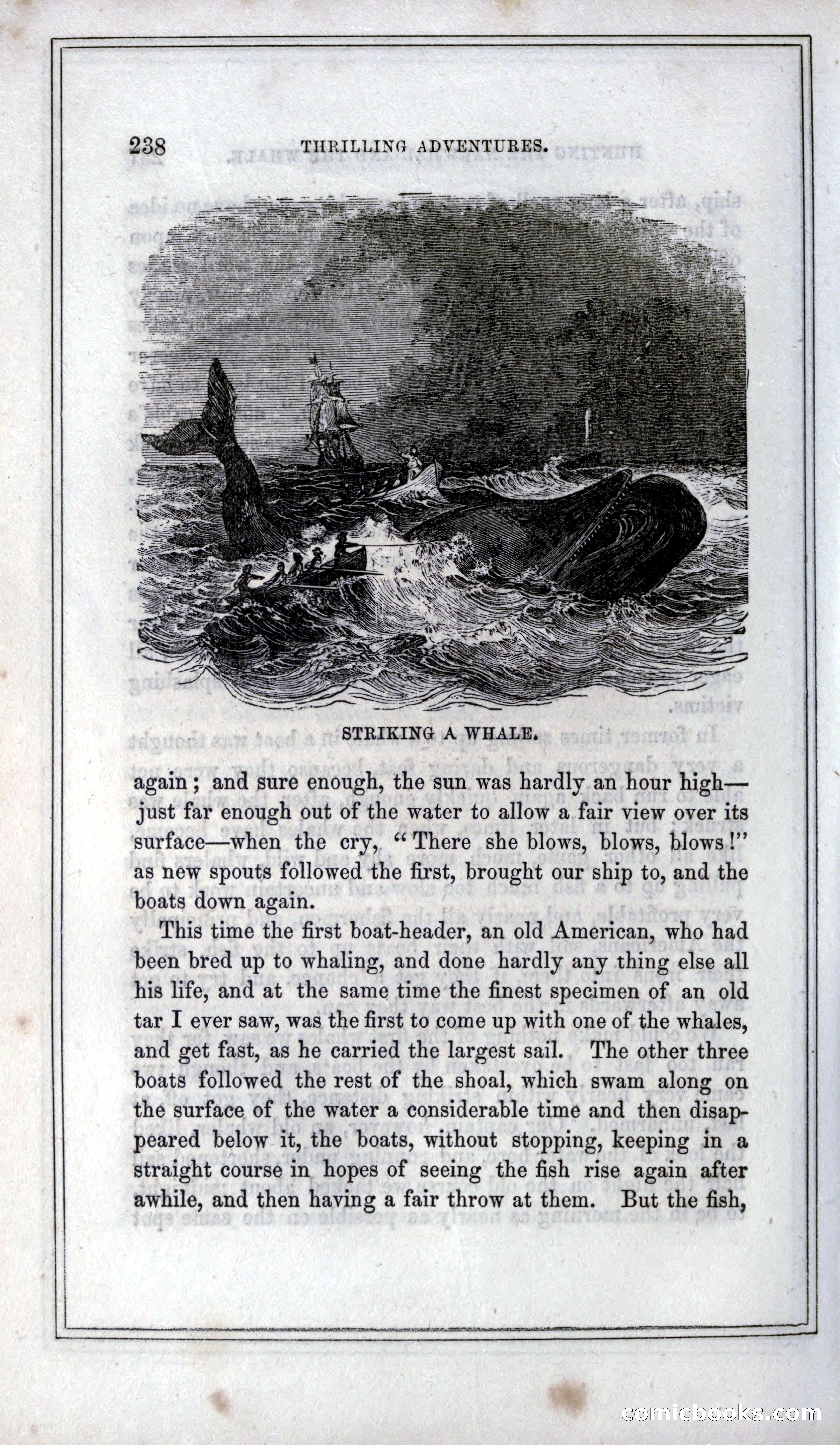 Thrilling Adventures of Hunters, in the Old World and the New — page 254 of 399