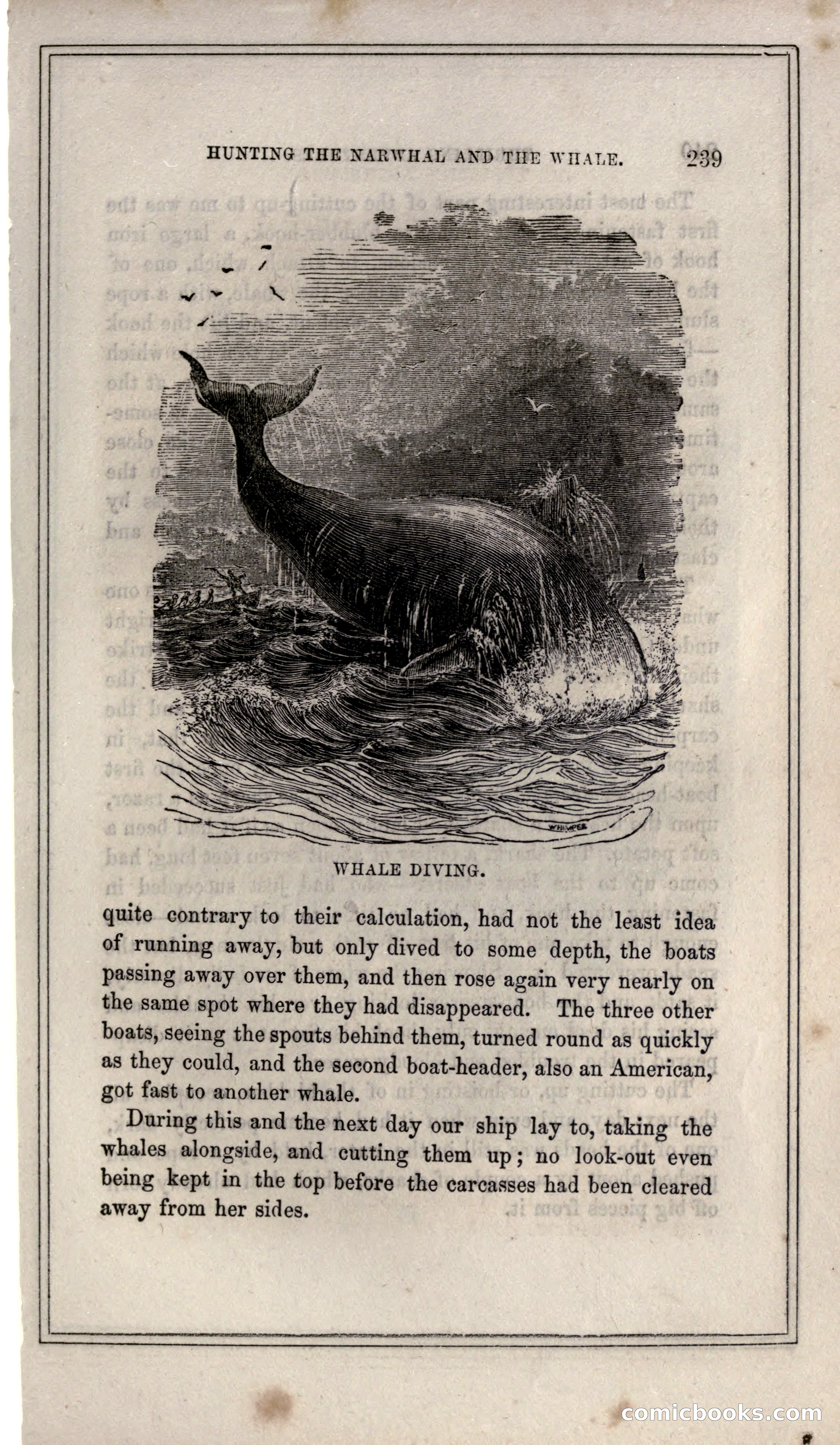 Thrilling Adventures of Hunters, in the Old World and the New — page 255 of 399