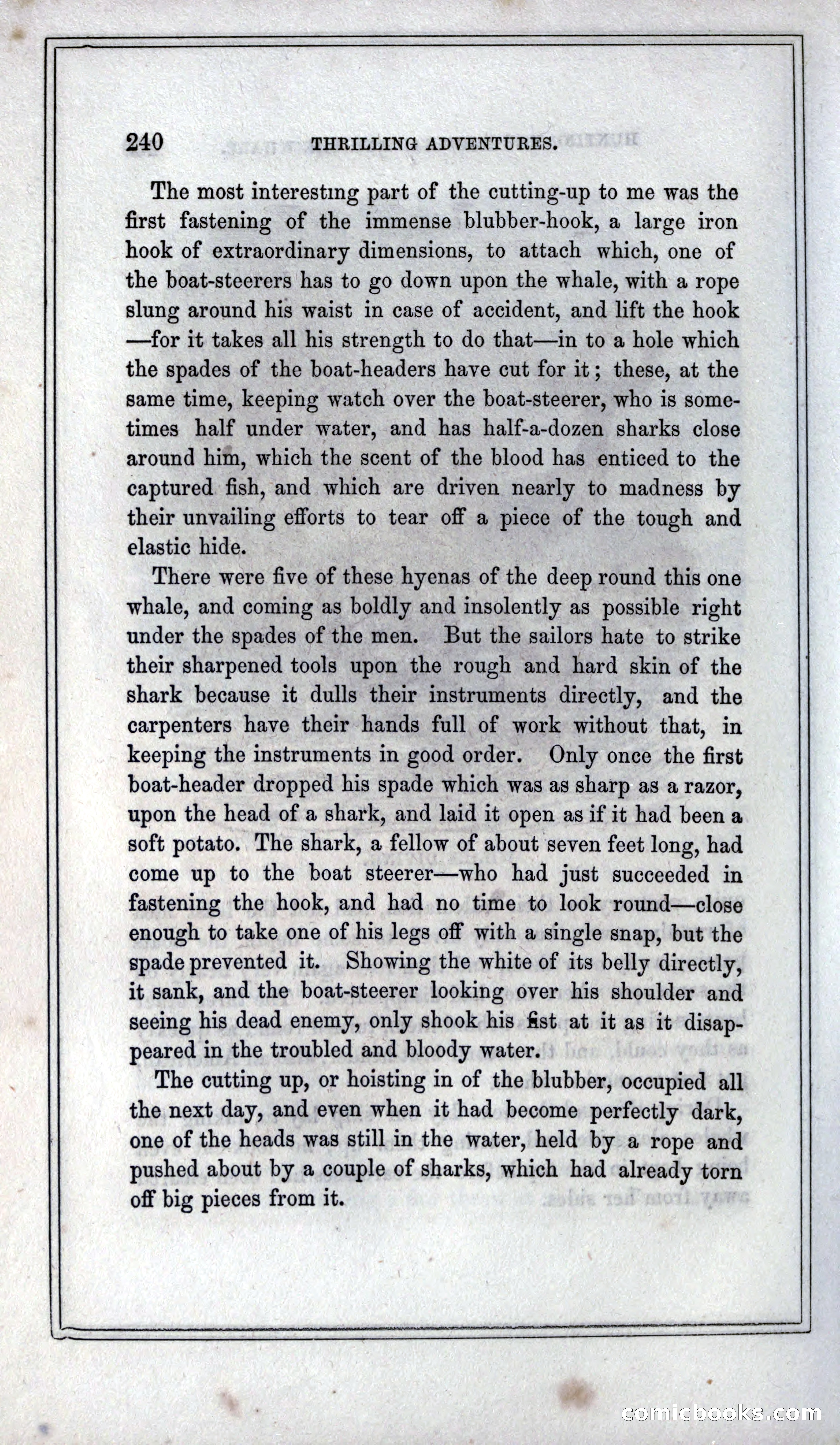 Thrilling Adventures of Hunters, in the Old World and the New — page 256 of 399