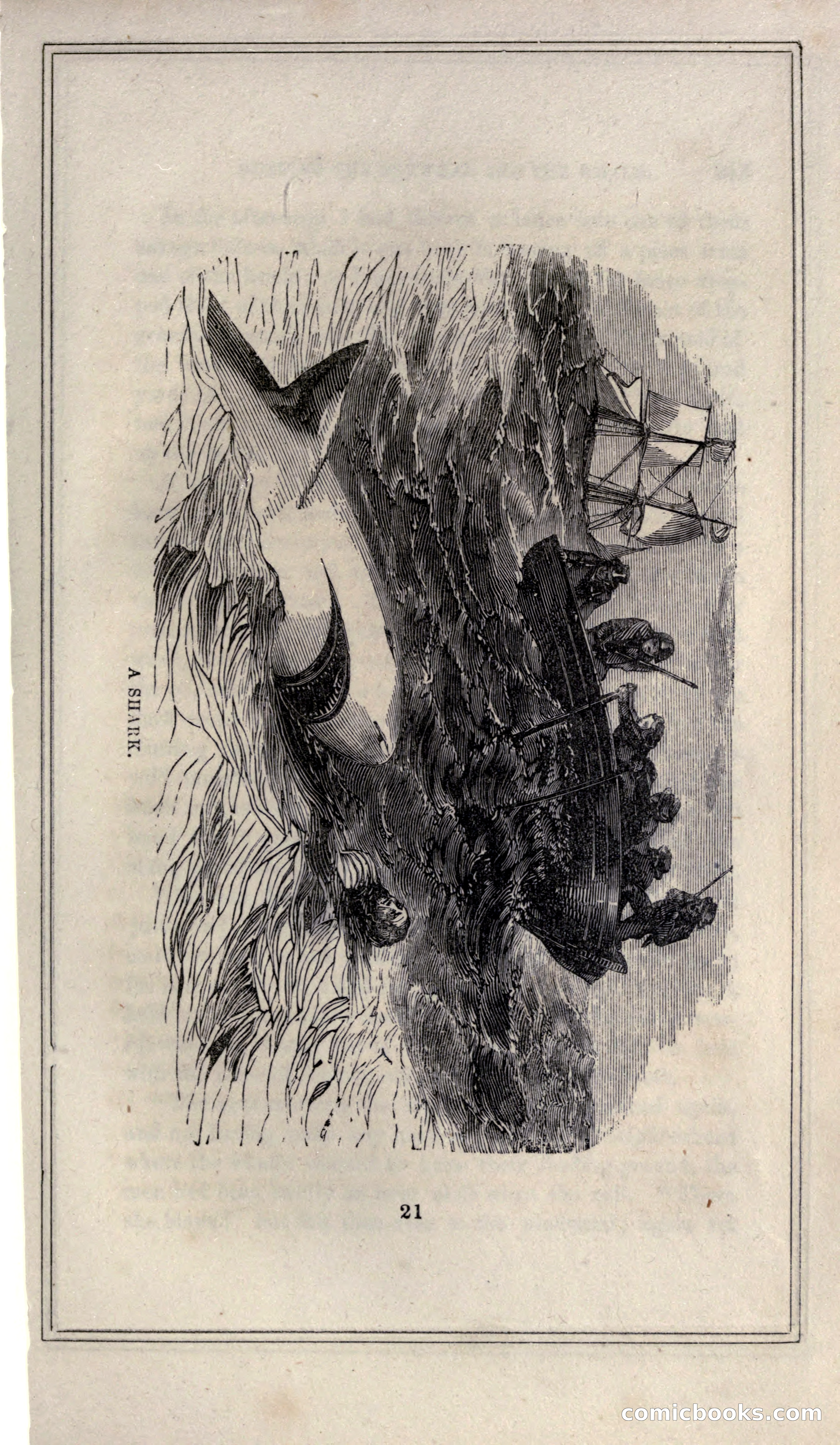 Thrilling Adventures of Hunters, in the Old World and the New — page 257 of 399