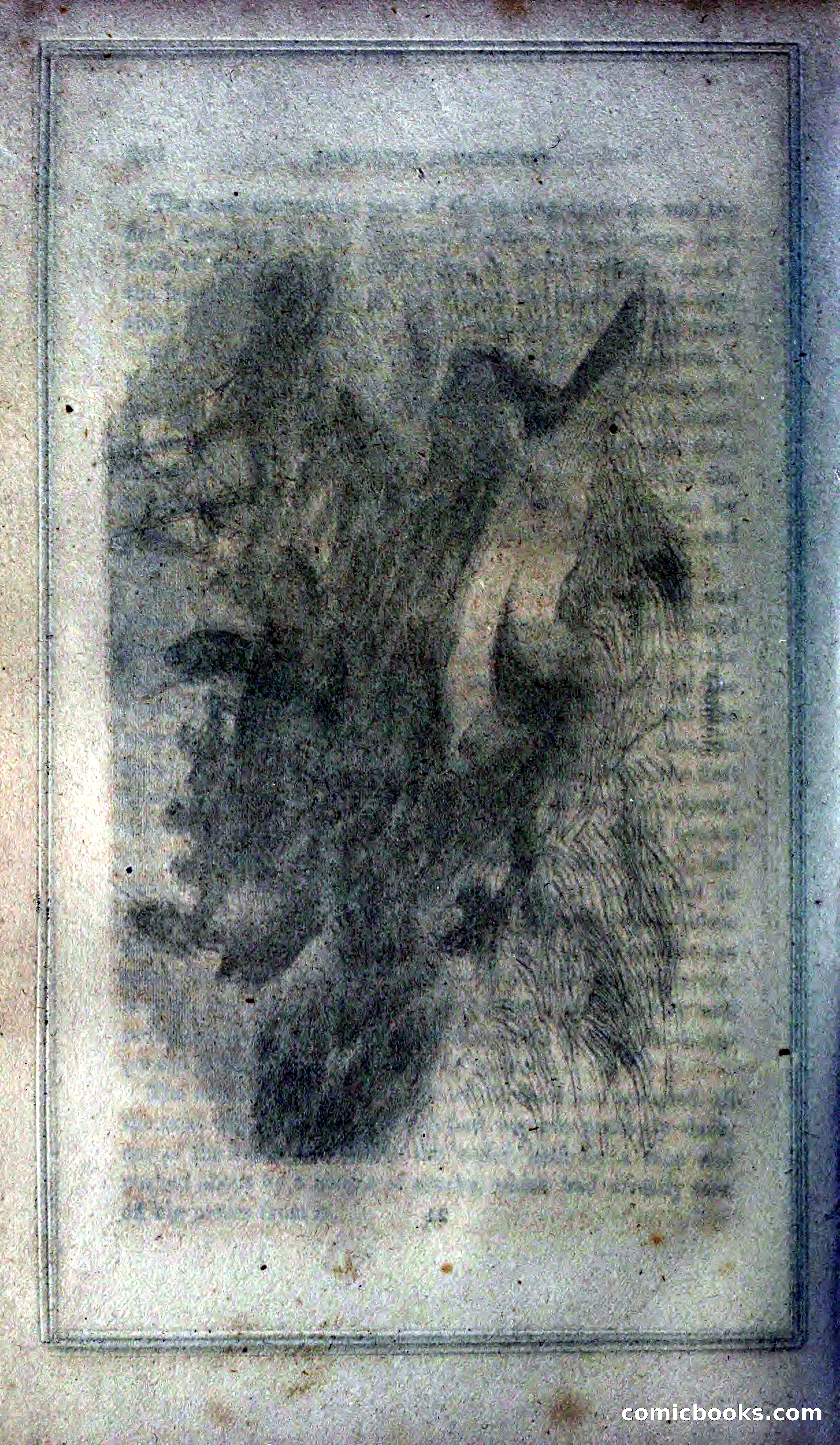 Thrilling Adventures of Hunters, in the Old World and the New — page 258 of 399