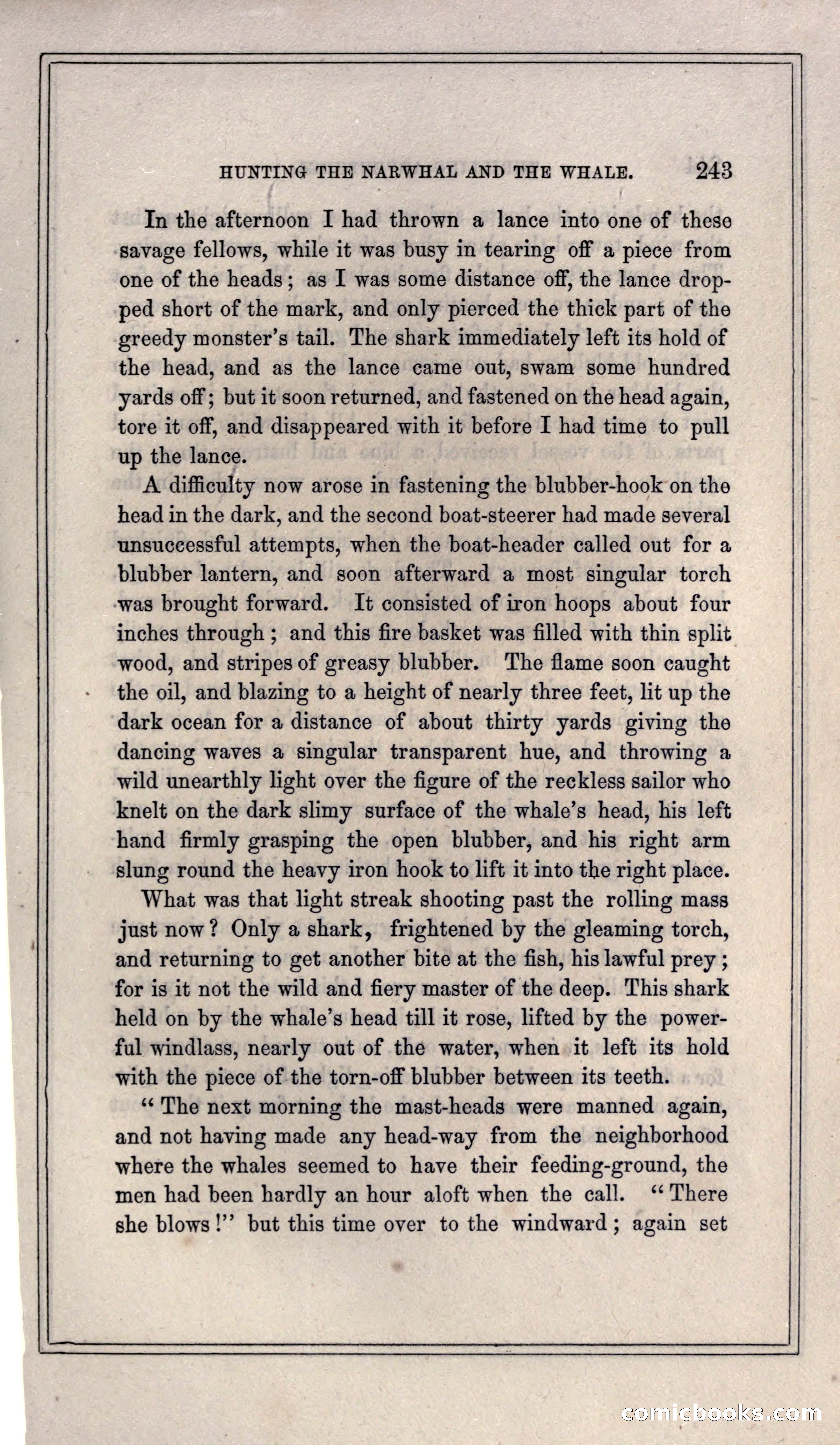 Thrilling Adventures of Hunters, in the Old World and the New — page 259 of 399
