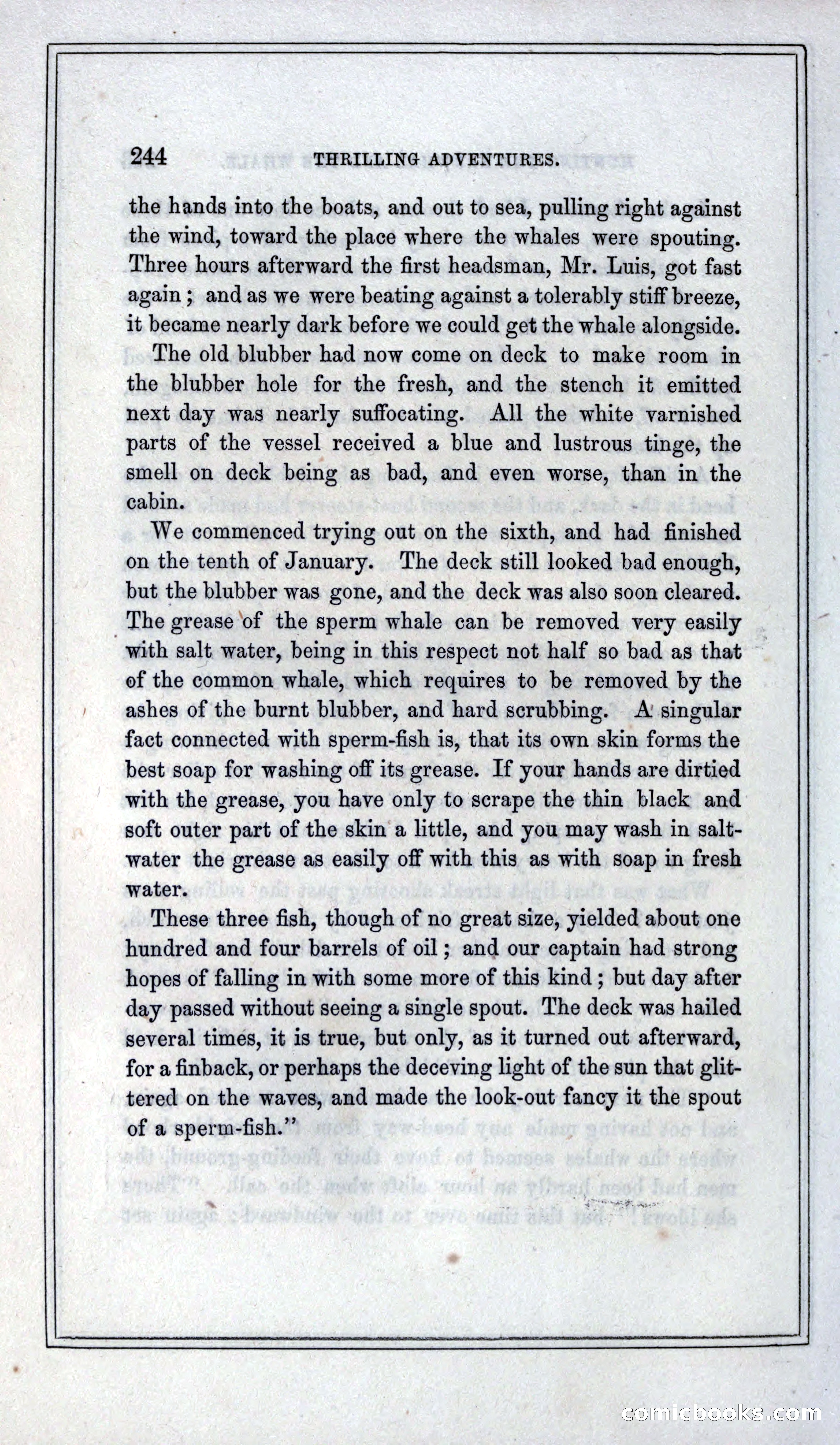 Thrilling Adventures of Hunters, in the Old World and the New — page 260 of 399