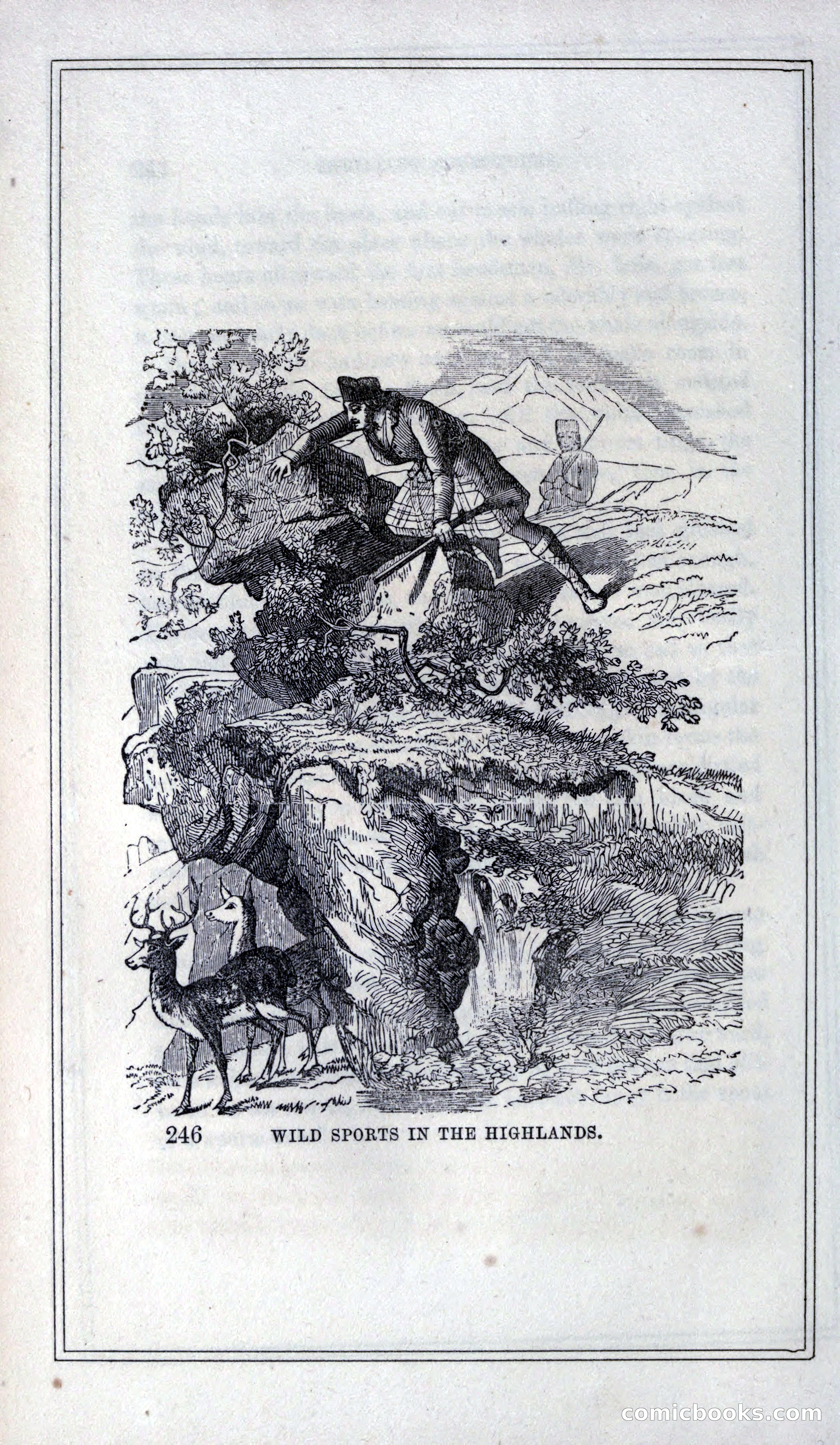 Thrilling Adventures of Hunters, in the Old World and the New — page 262 of 399