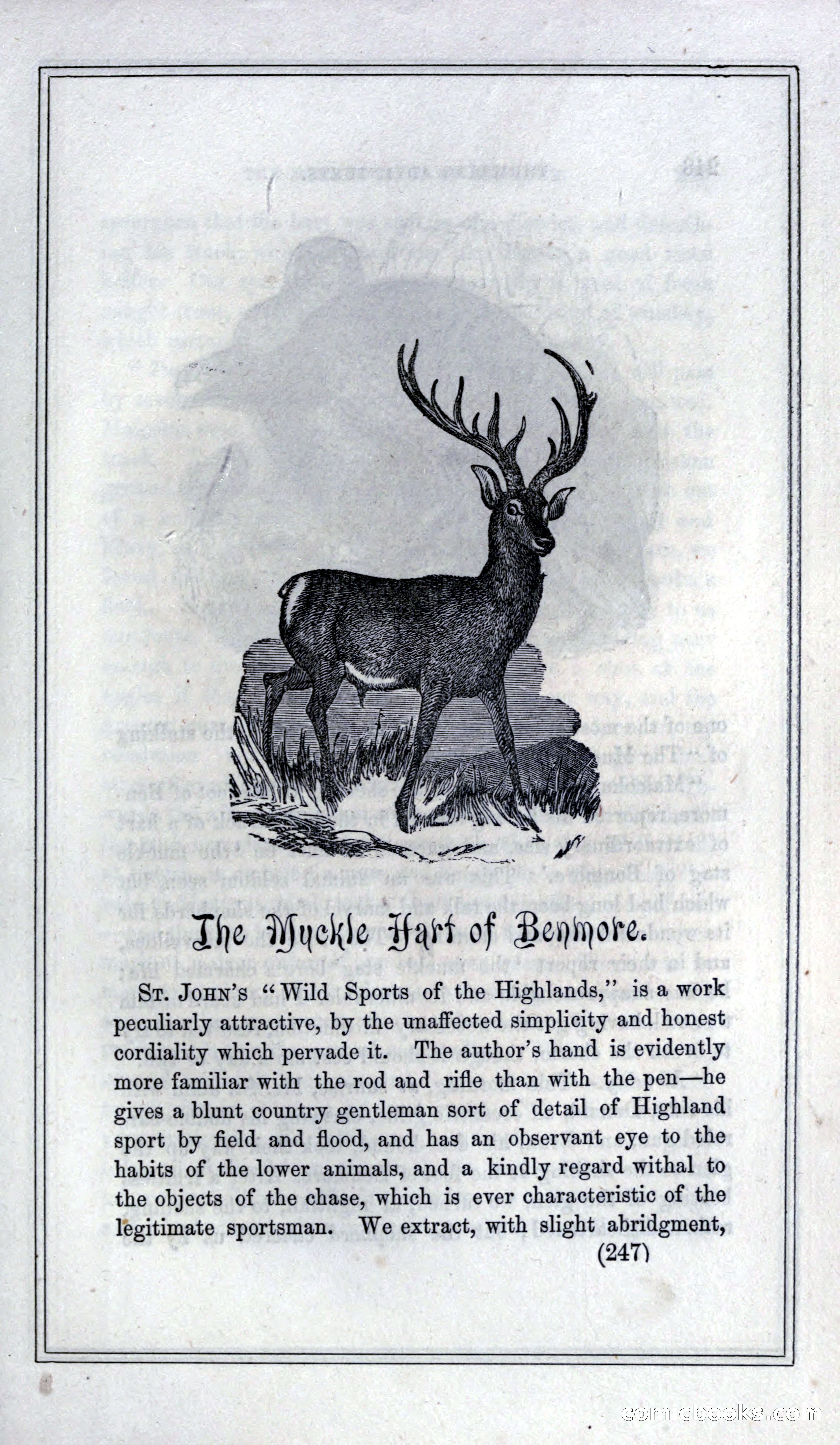 Thrilling Adventures of Hunters, in the Old World and the New — page 263 of 399