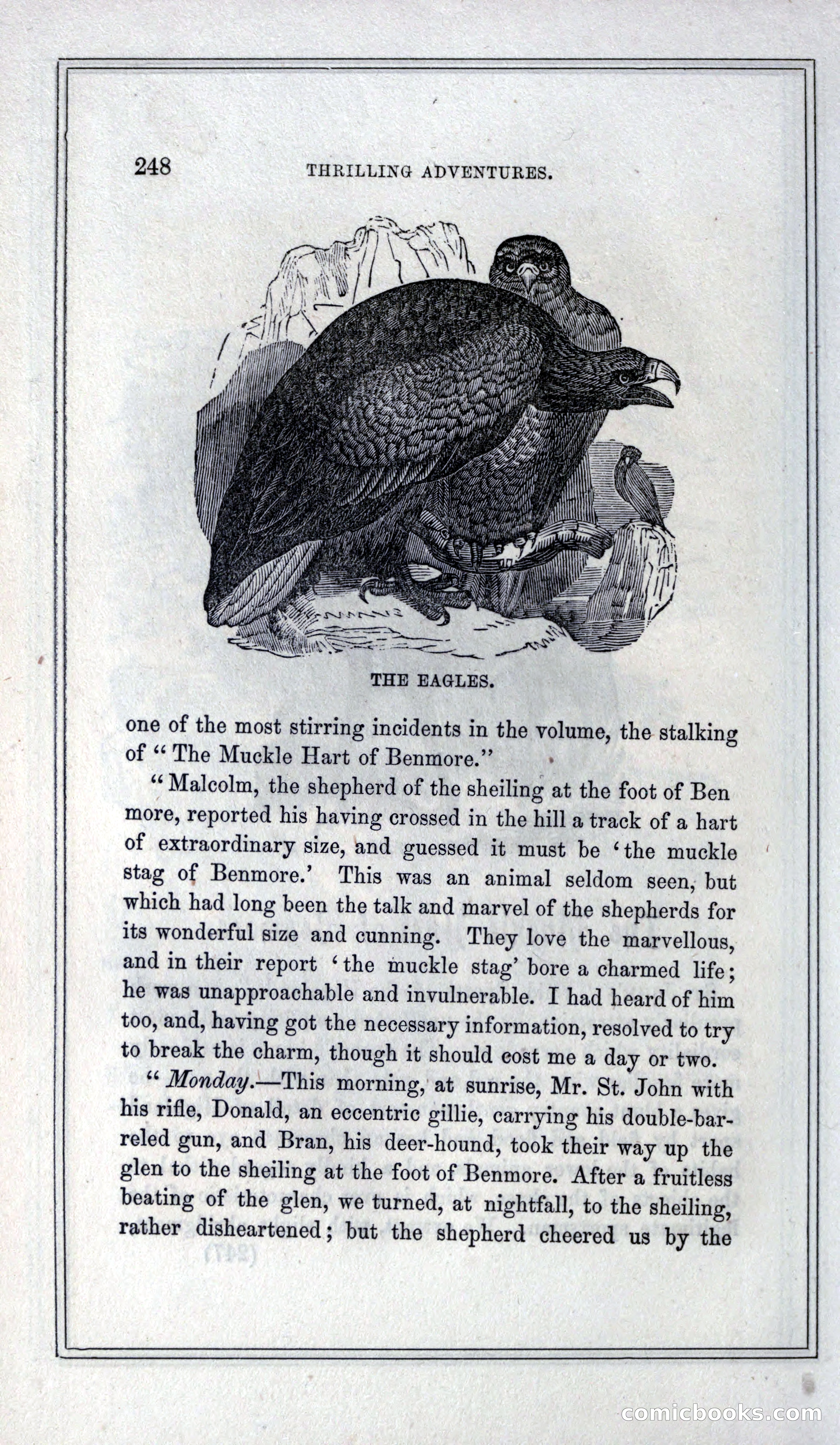 Thrilling Adventures of Hunters, in the Old World and the New — page 264 of 399