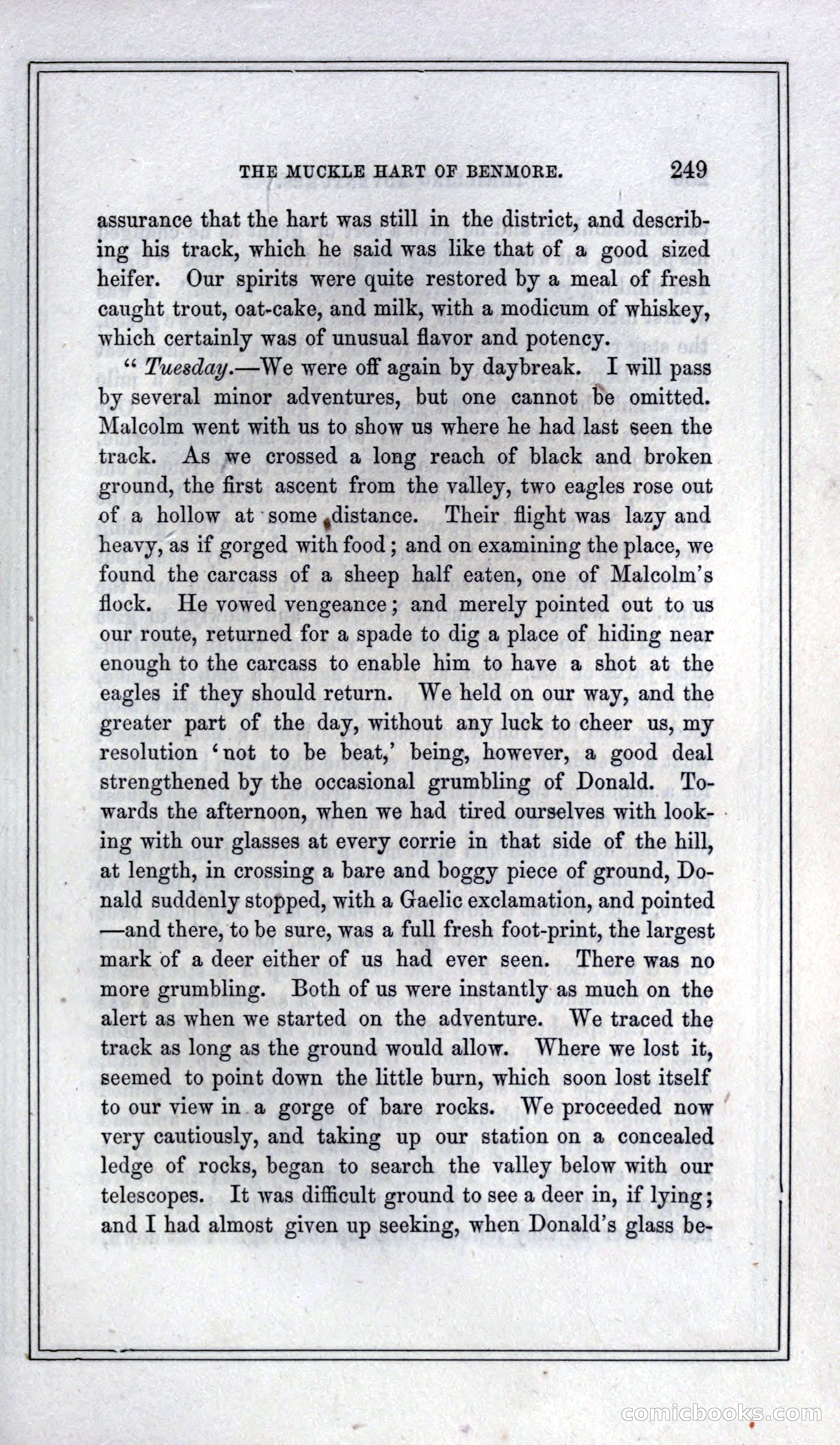 Thrilling Adventures of Hunters, in the Old World and the New — page 265 of 399