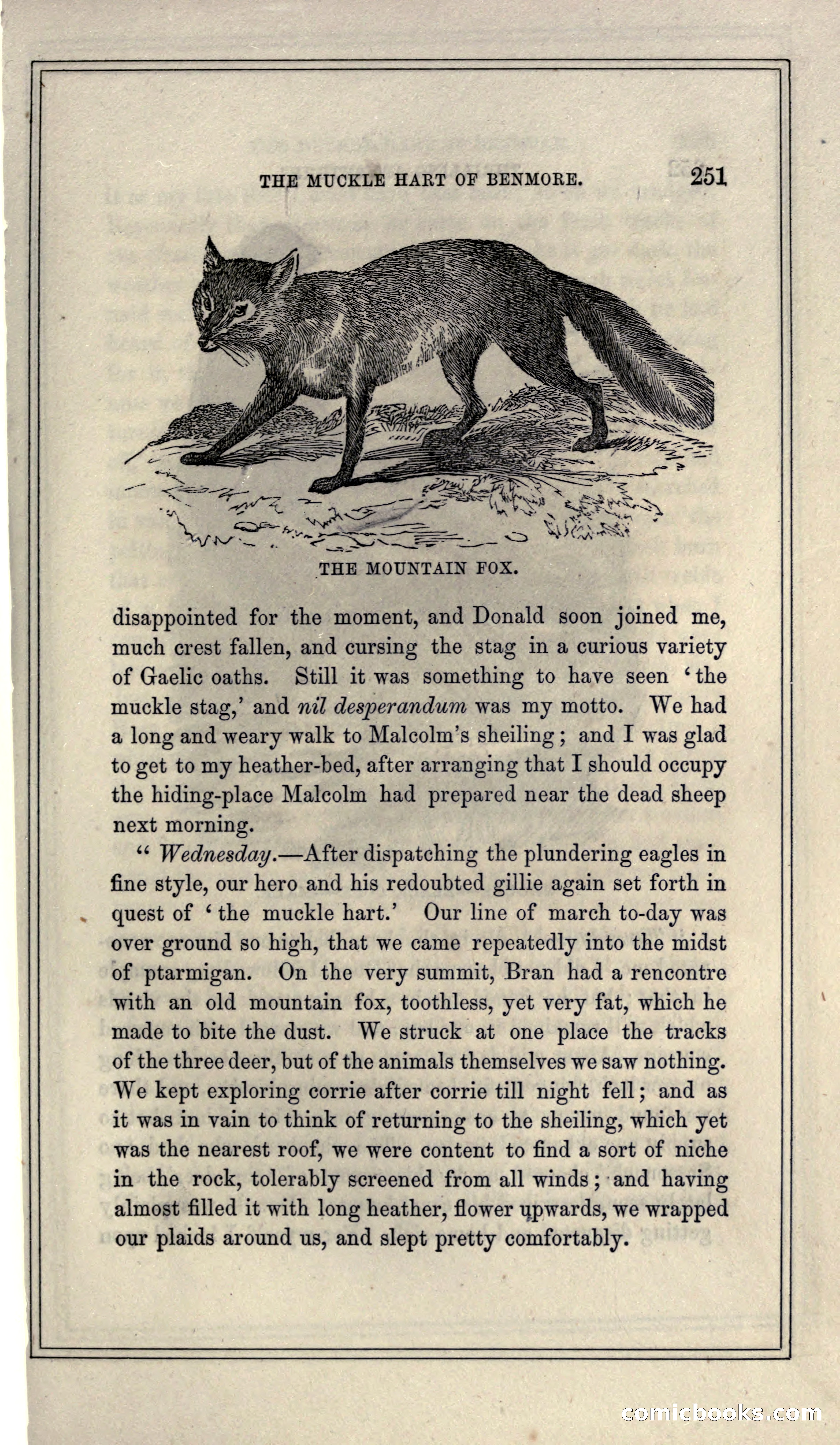 Thrilling Adventures of Hunters, in the Old World and the New — page 267 of 399