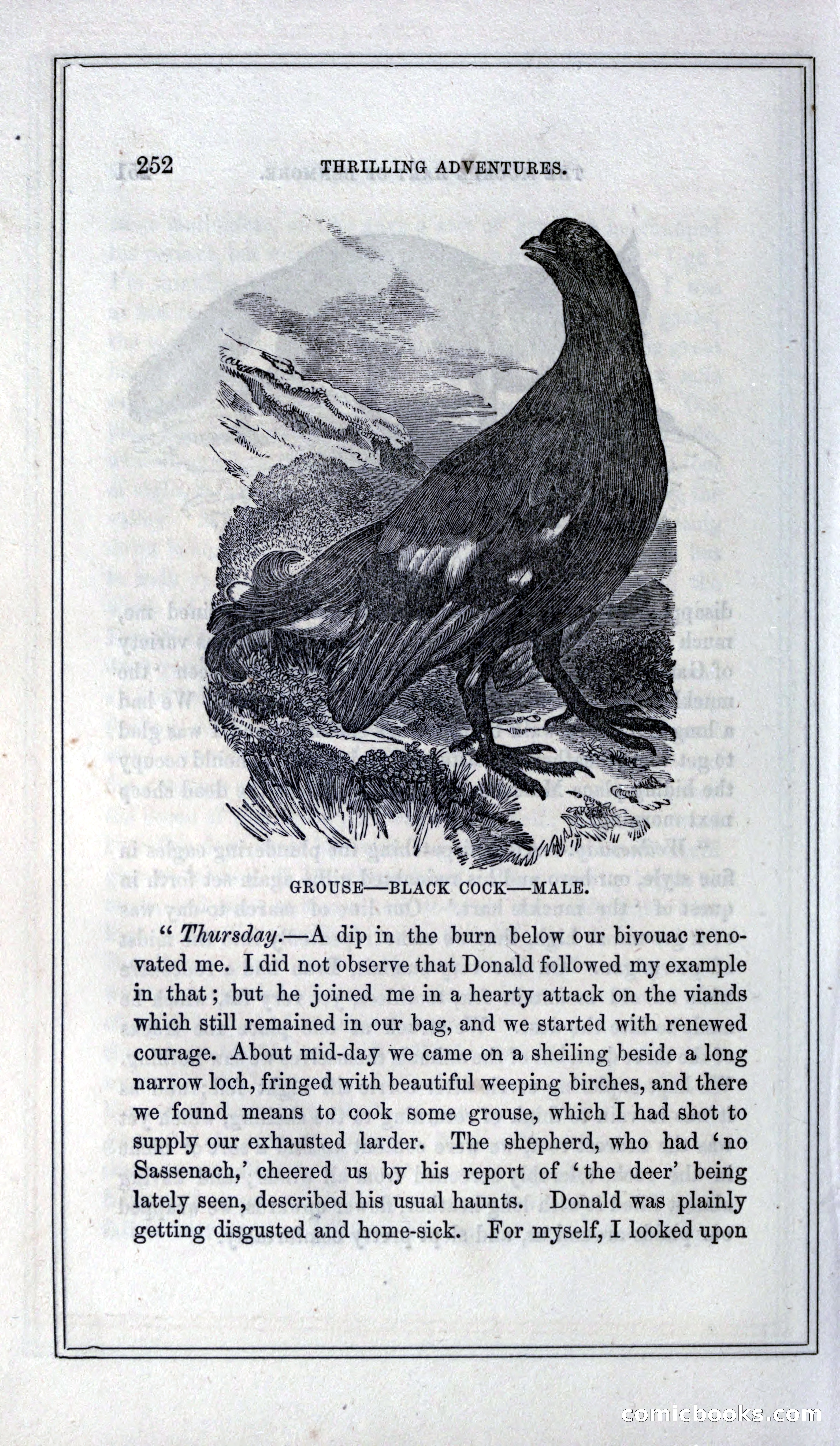 Thrilling Adventures of Hunters, in the Old World and the New — page 268 of 399