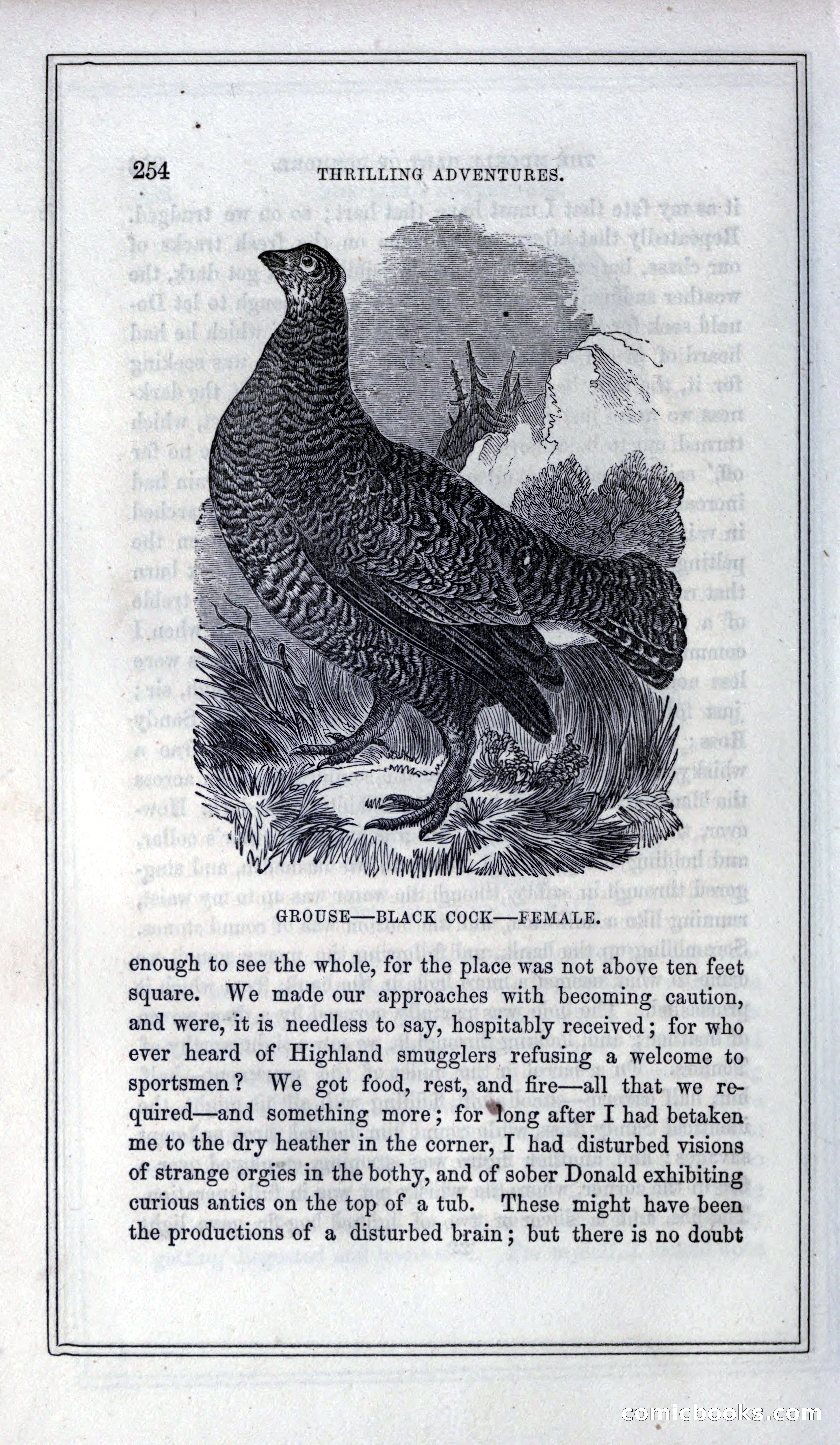 Thrilling Adventures of Hunters, in the Old World and the New — page 270 of 399