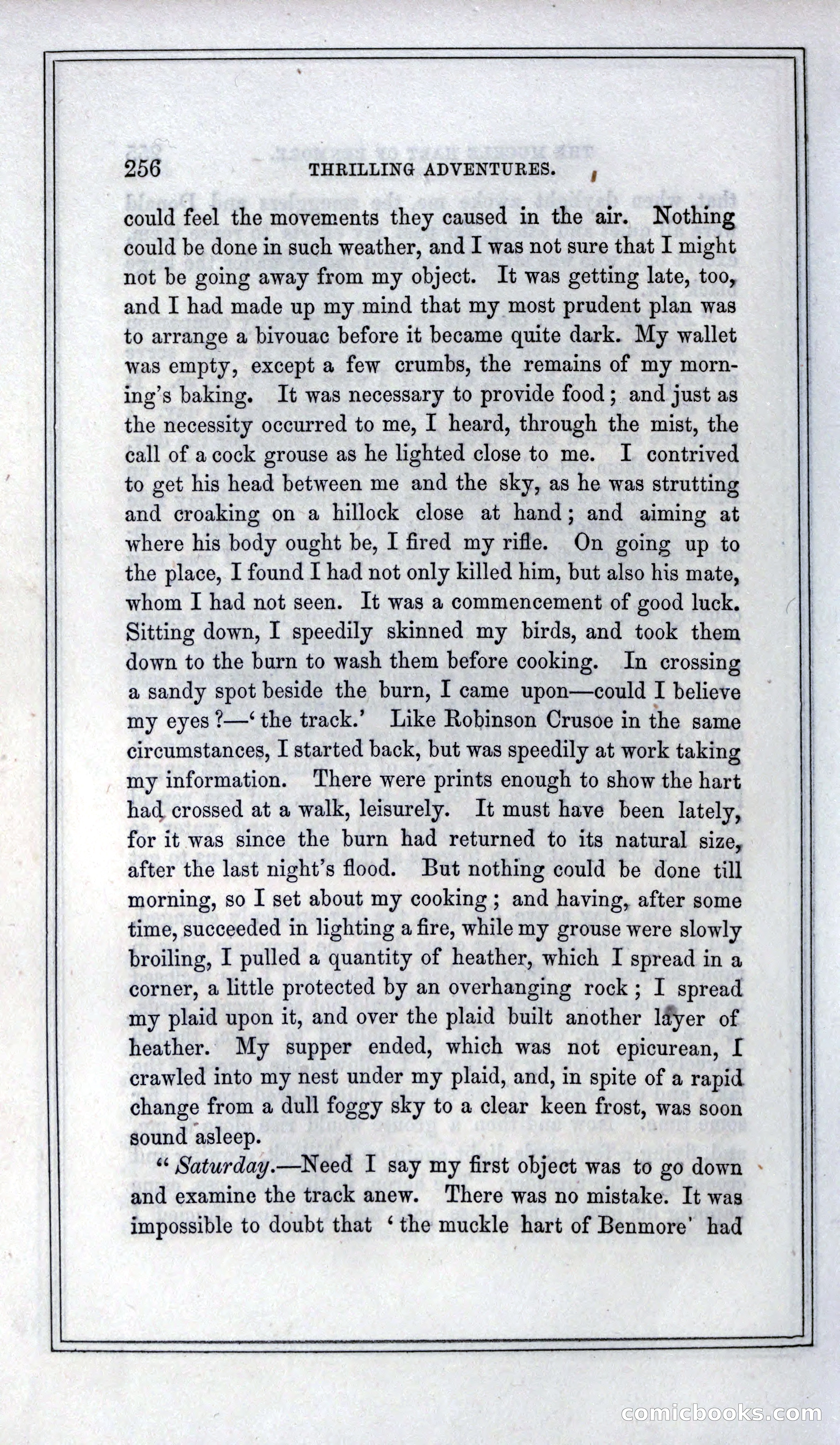 Thrilling Adventures of Hunters, in the Old World and the New — page 272 of 399