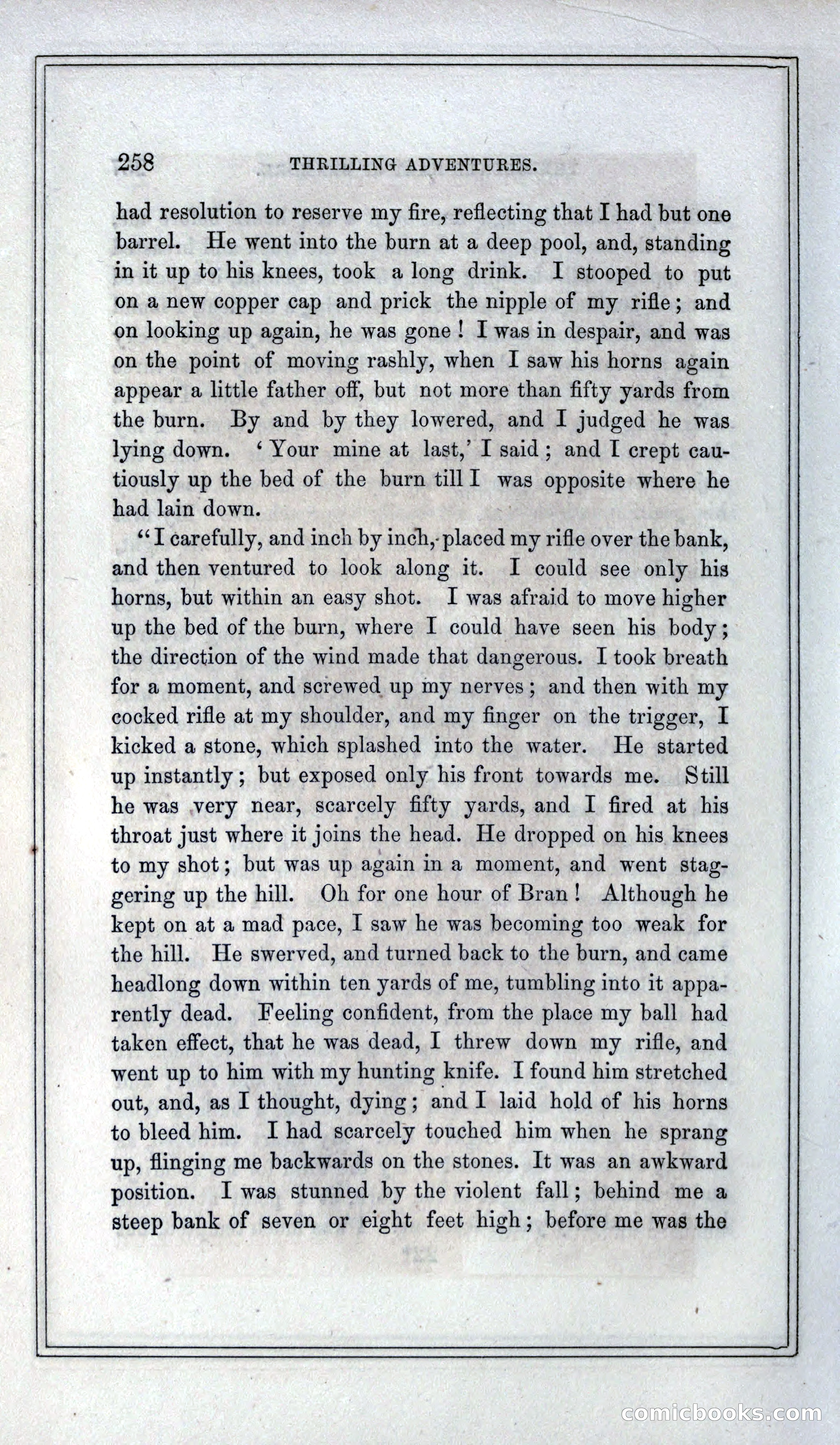 Thrilling Adventures of Hunters, in the Old World and the New — page 274 of 399