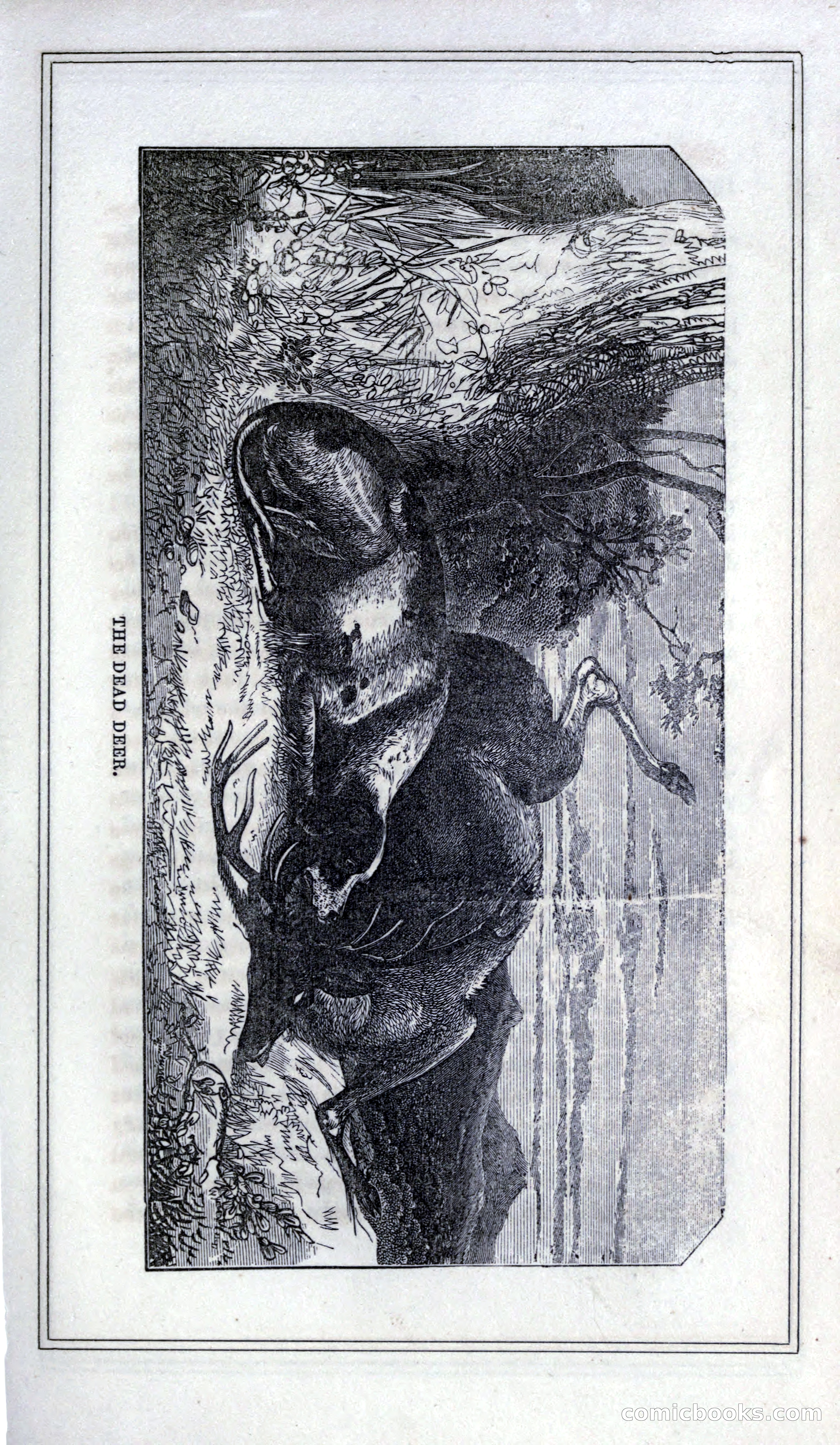 Thrilling Adventures of Hunters, in the Old World and the New — page 275 of 399