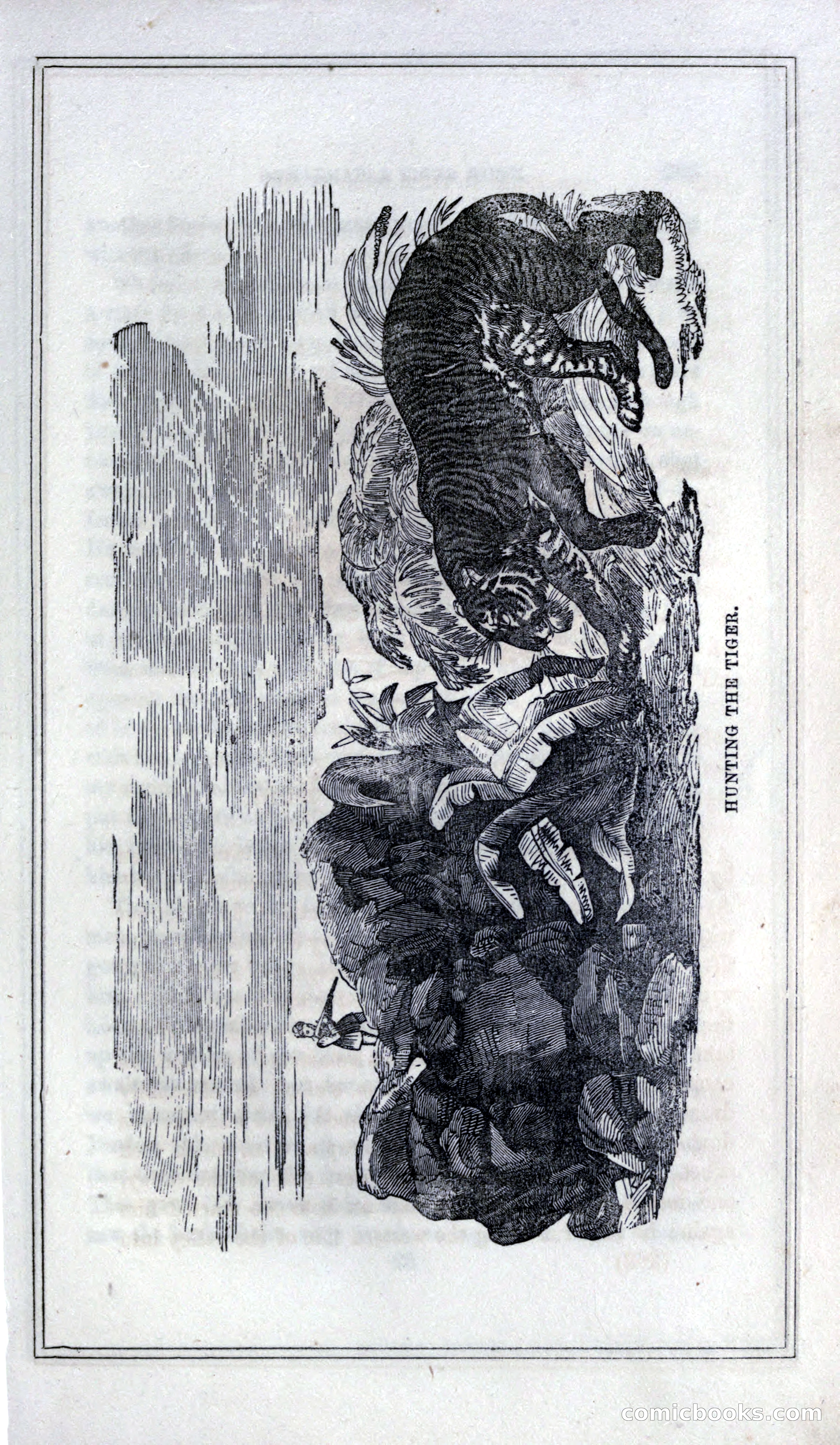 Thrilling Adventures of Hunters, in the Old World and the New — page 279 of 399