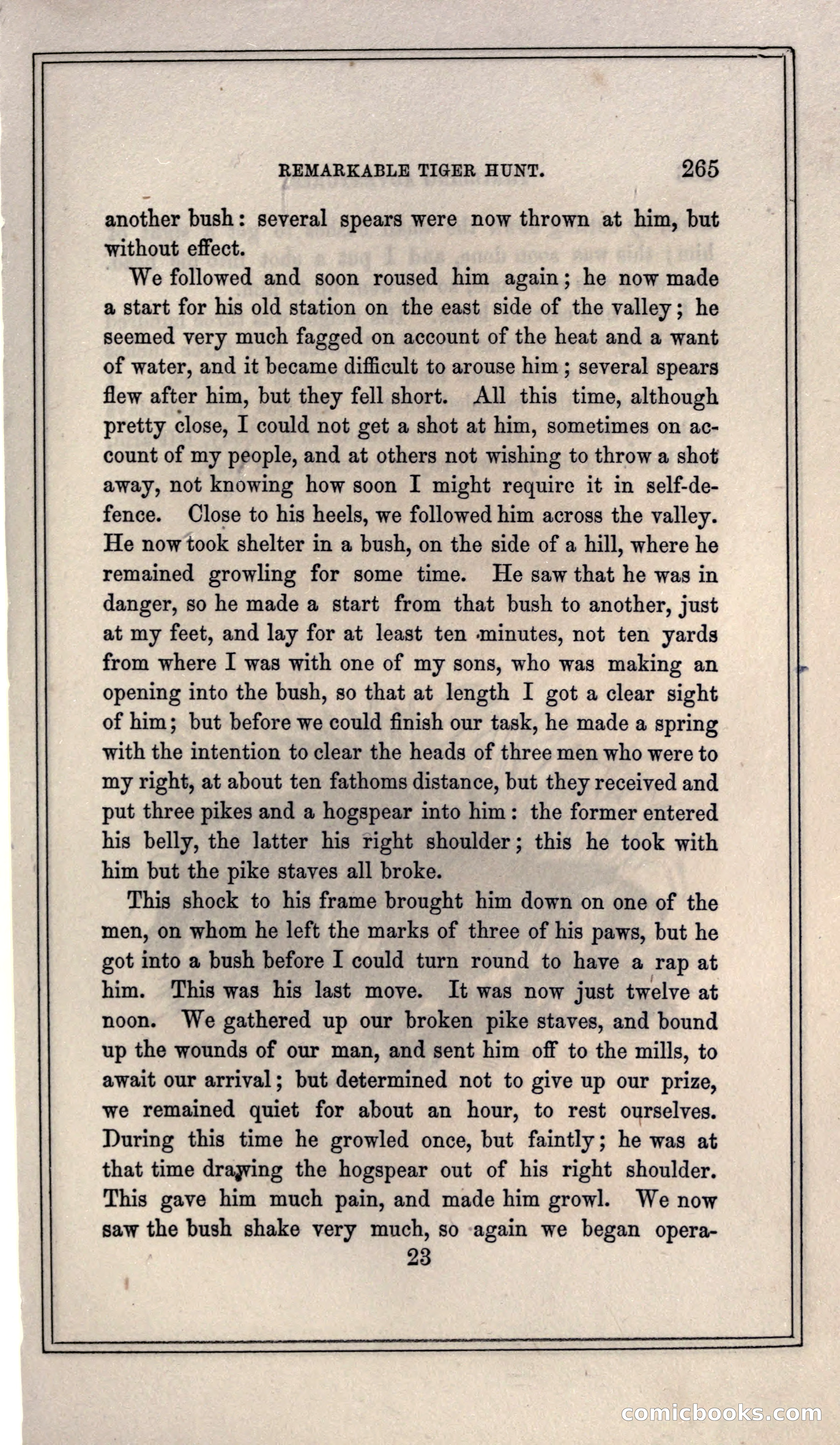 Thrilling Adventures of Hunters, in the Old World and the New — page 281 of 399